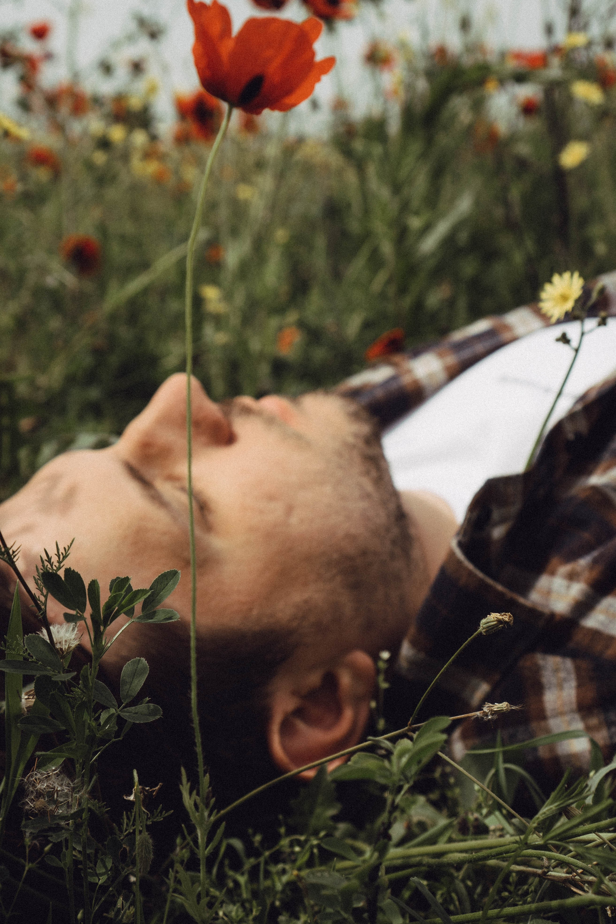 Маки. Профессиональный фотограф, Санкт-Петербург — Виктория Богомолова