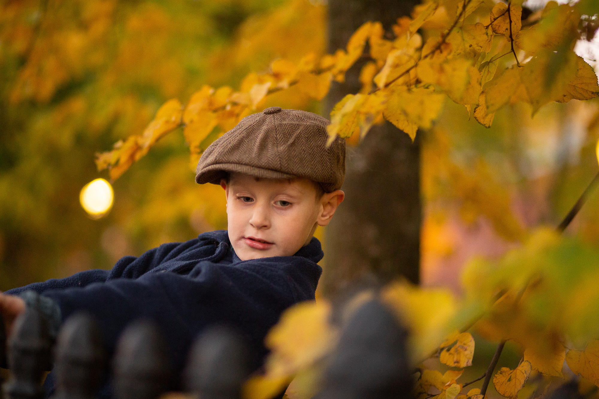 Осень. Детский фотограф в Санкт-Петербурге Анна Ляшевич