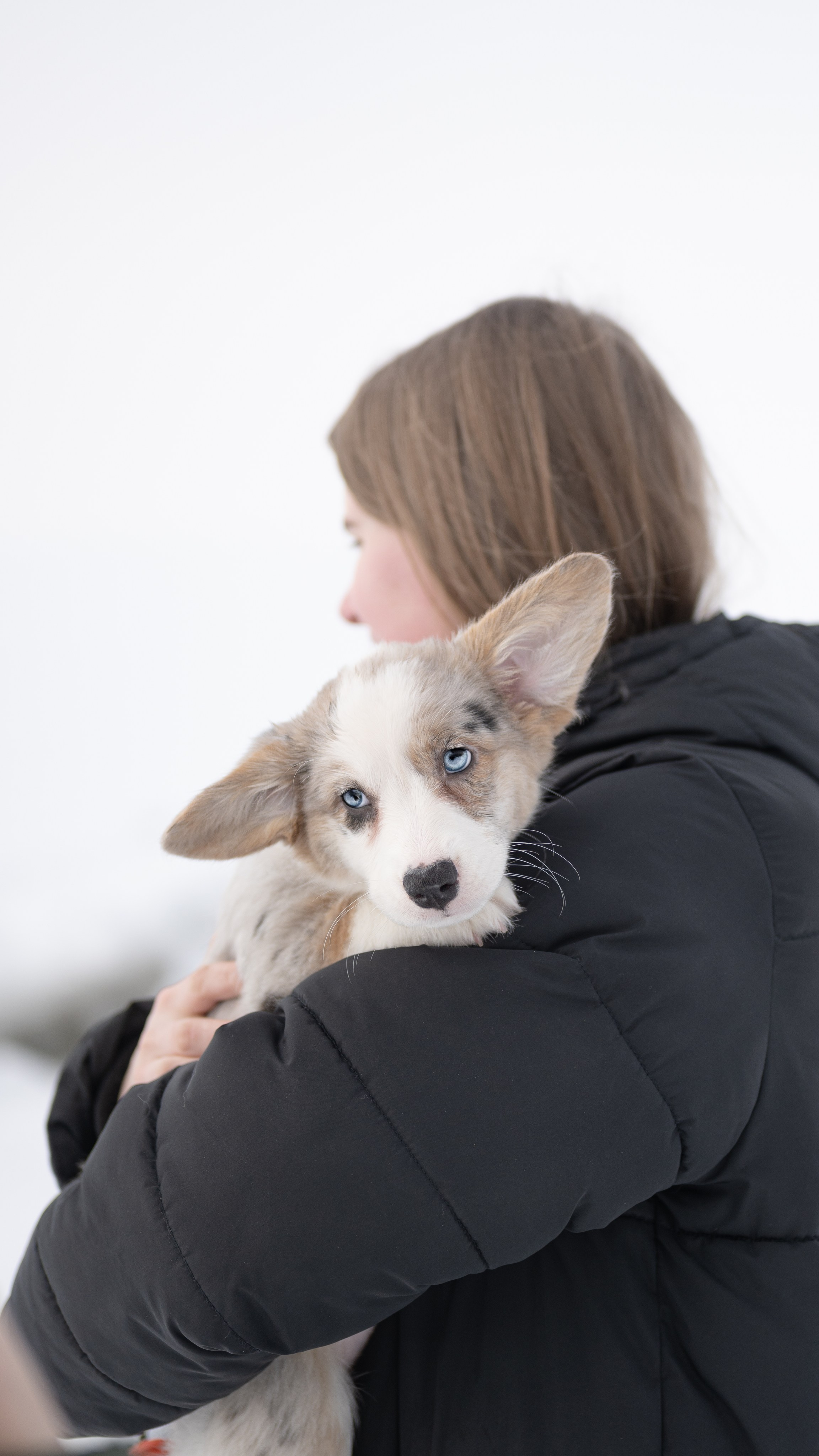 Вы и ваши питомцы. Фотограф в Санкт-Петербурге Александра Ладыгина