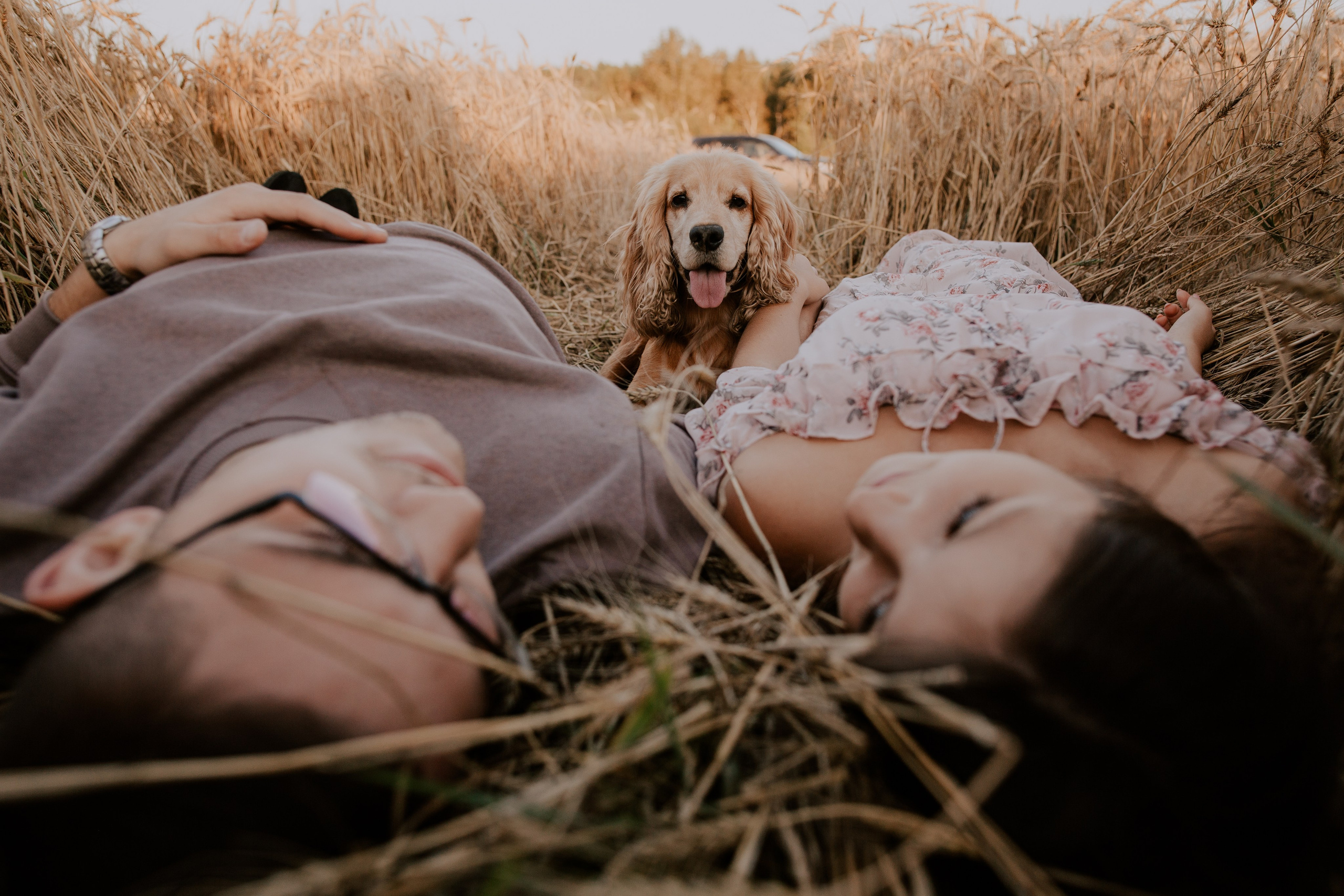 Валерий и Яна. Свадебный фотограф