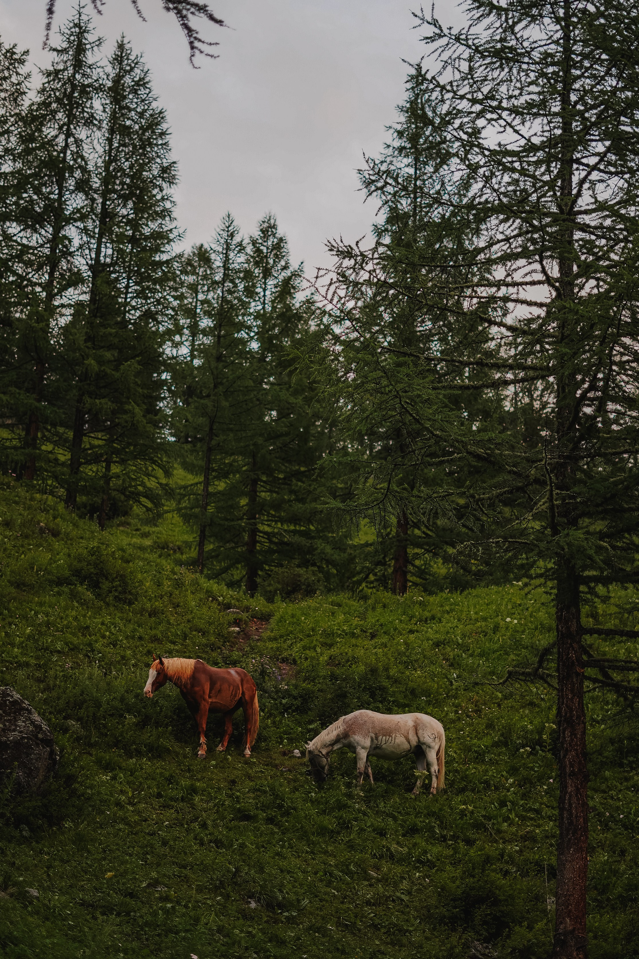 Путешествия. Фотограф Ольга Пучкова