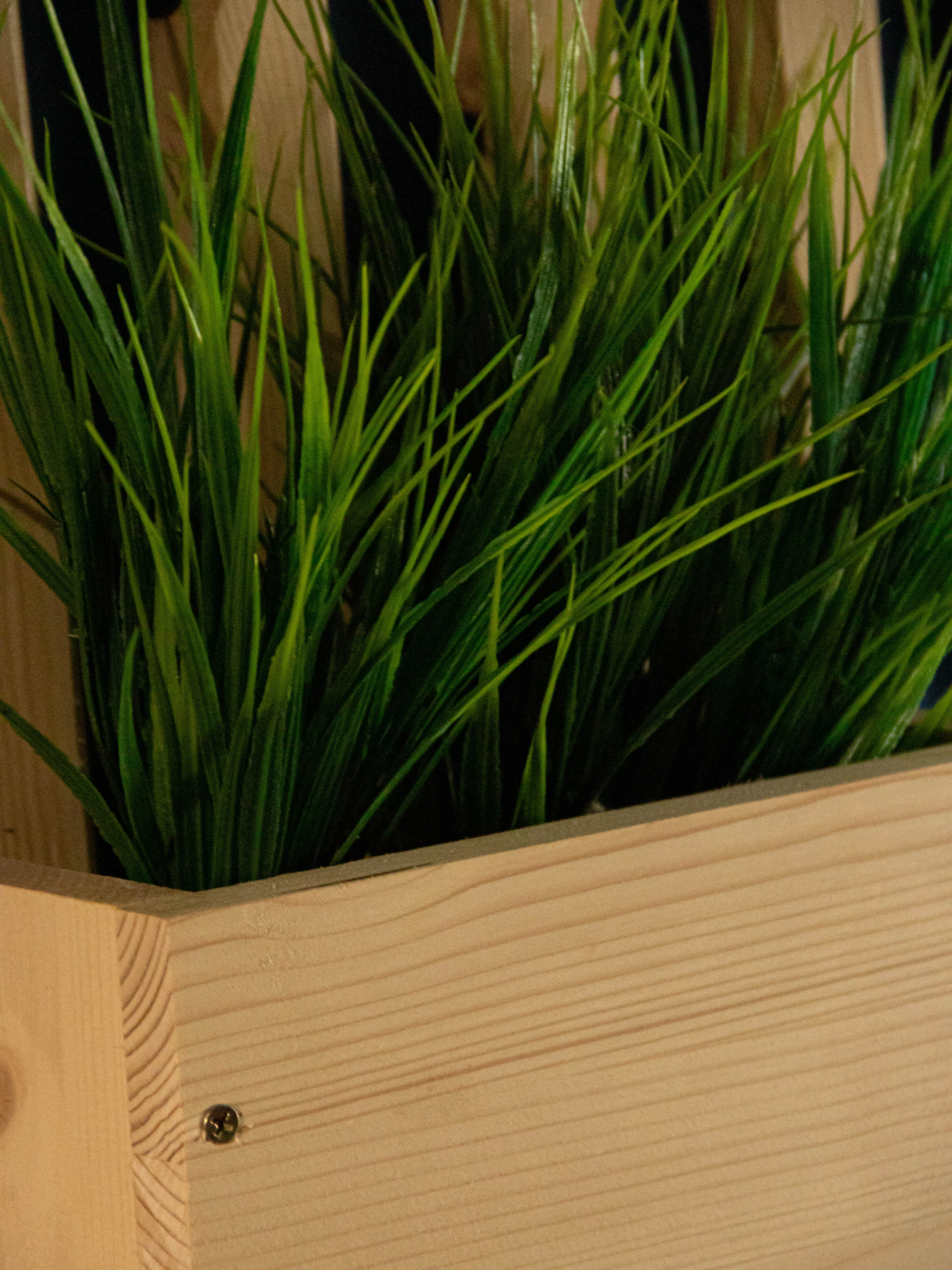 День рождения « Много рыбы». «Матрица»