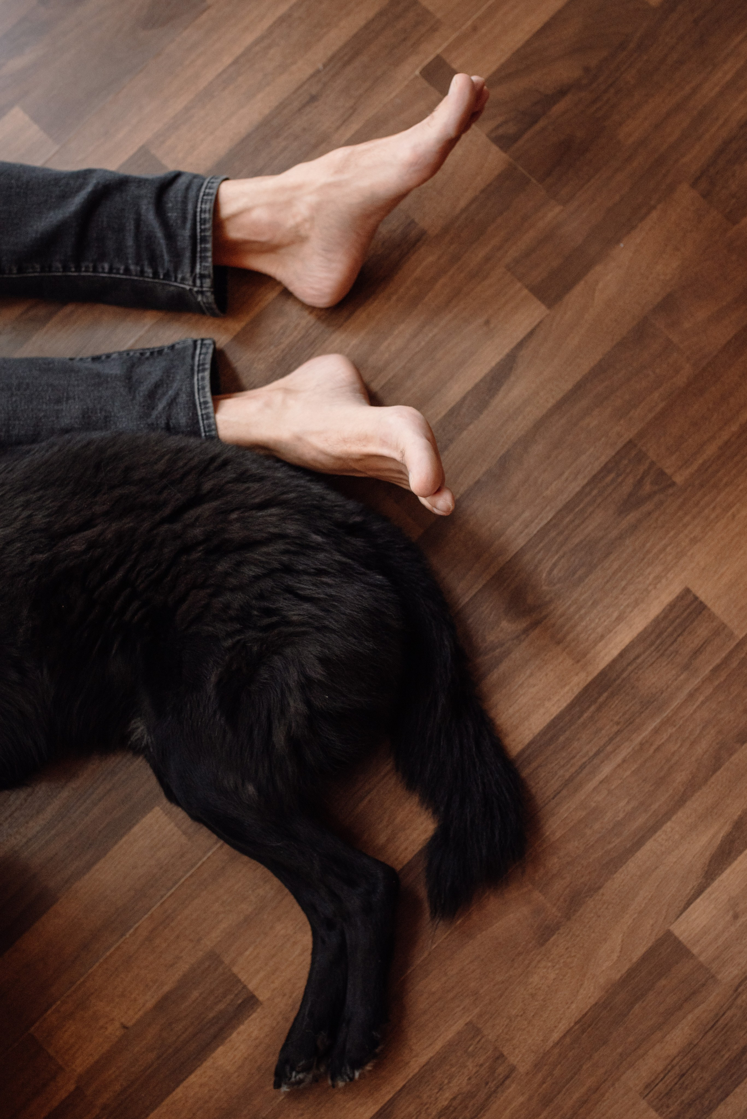 Ульяна и Владимир. Портретный фотограф в Ереване и Челябинске Шаханская Ольга