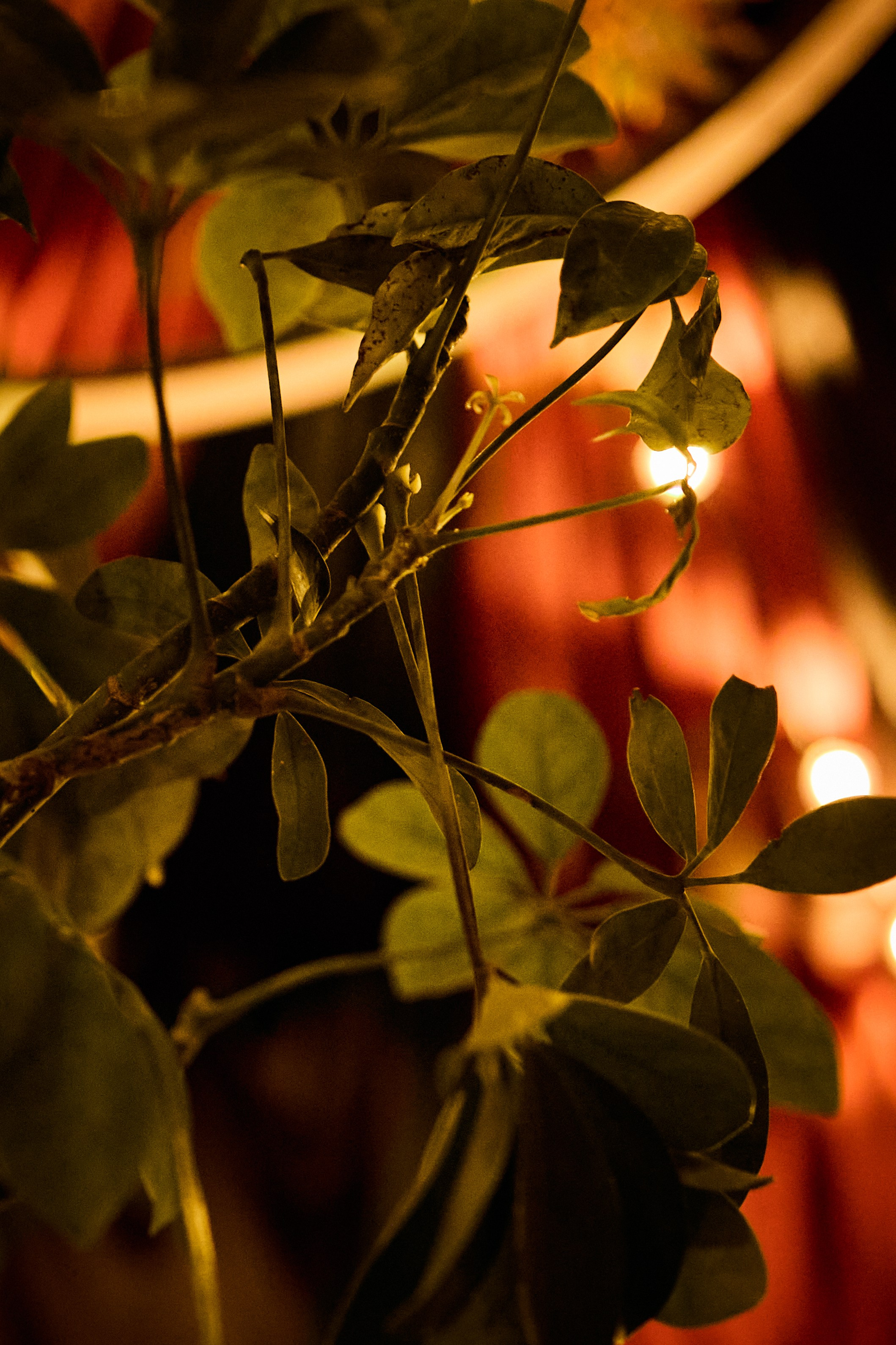 Esthetic. Фотограф Москва / TASIA_ZHUKOVA Photographer Moscow