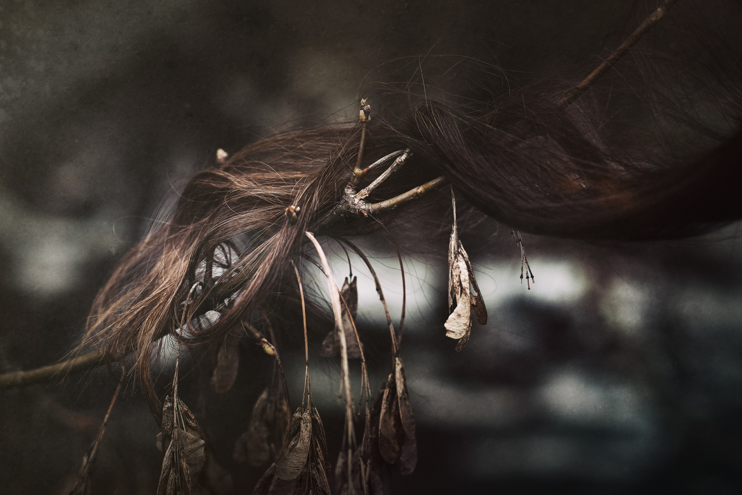 Фототерапия -Босиком по снегу. Женский фотограф Крещение Венчание Москва Брянск