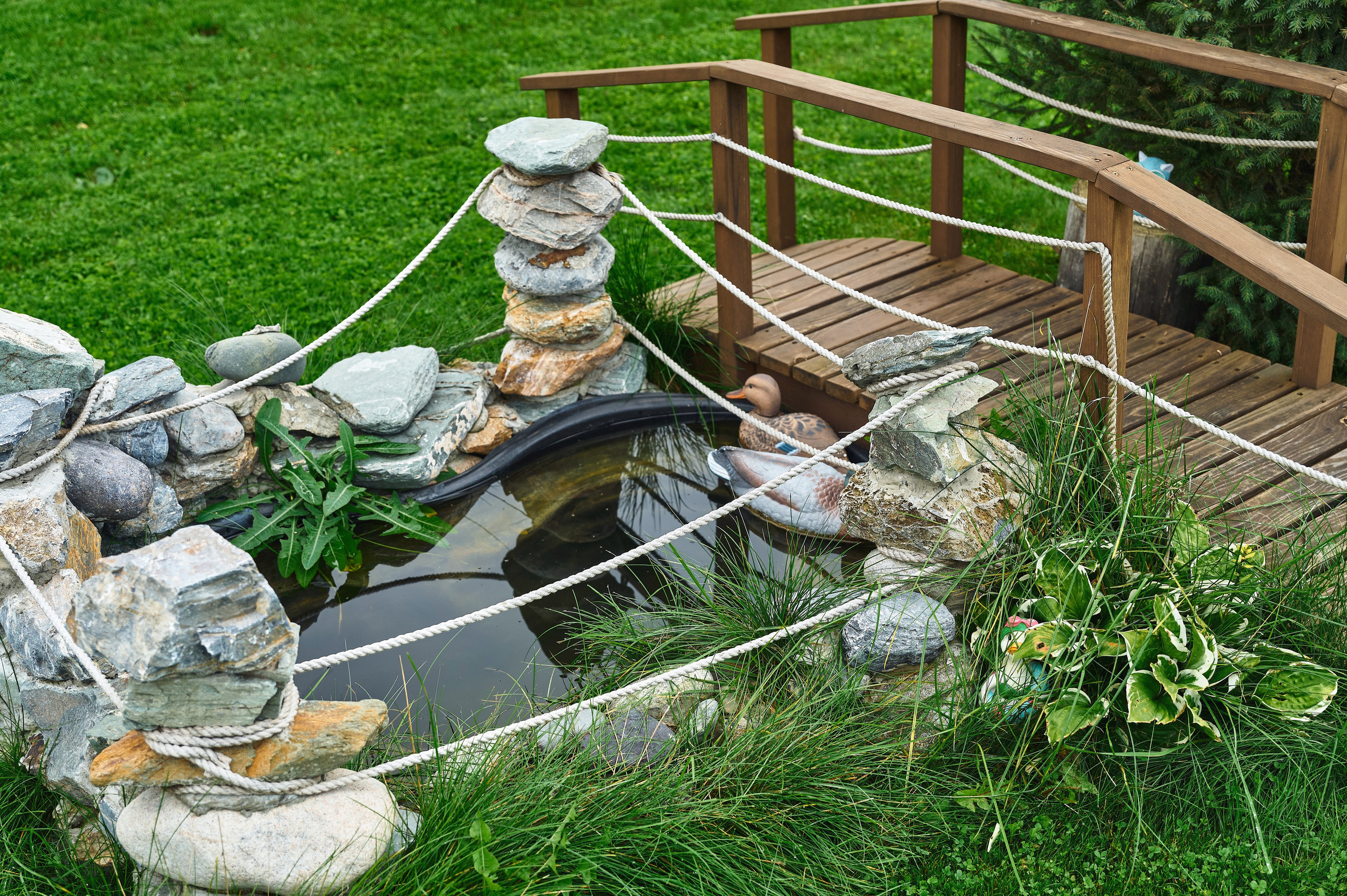 Жили были. Фотограф Опыт Качество Скорость Горный Алтай Барнаул