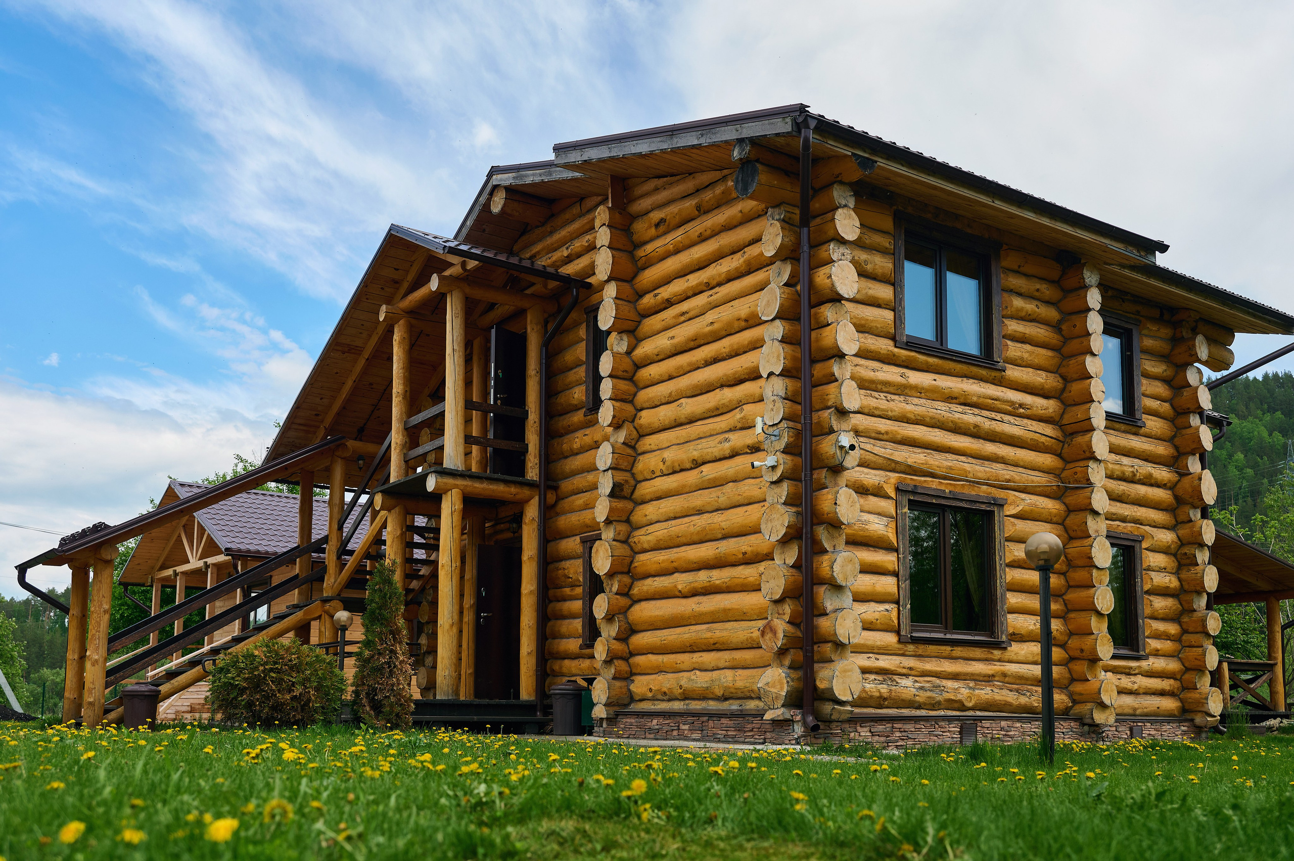 Кедровый берег. Фотограф Опыт Качество Скорость Горный Алтай Барнаул