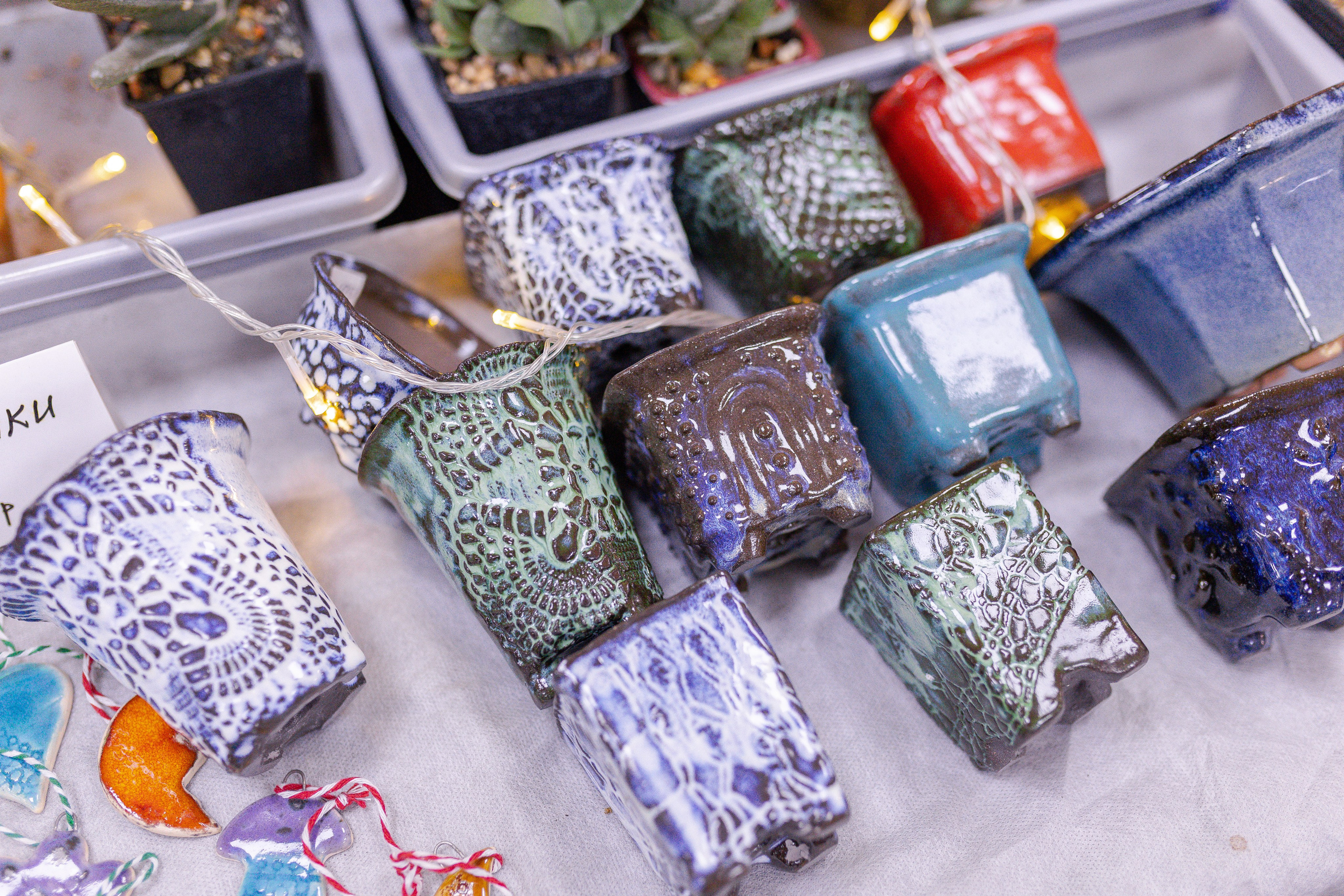 Орхидиум 12.2025. Александра Куликова фотограф, Москва