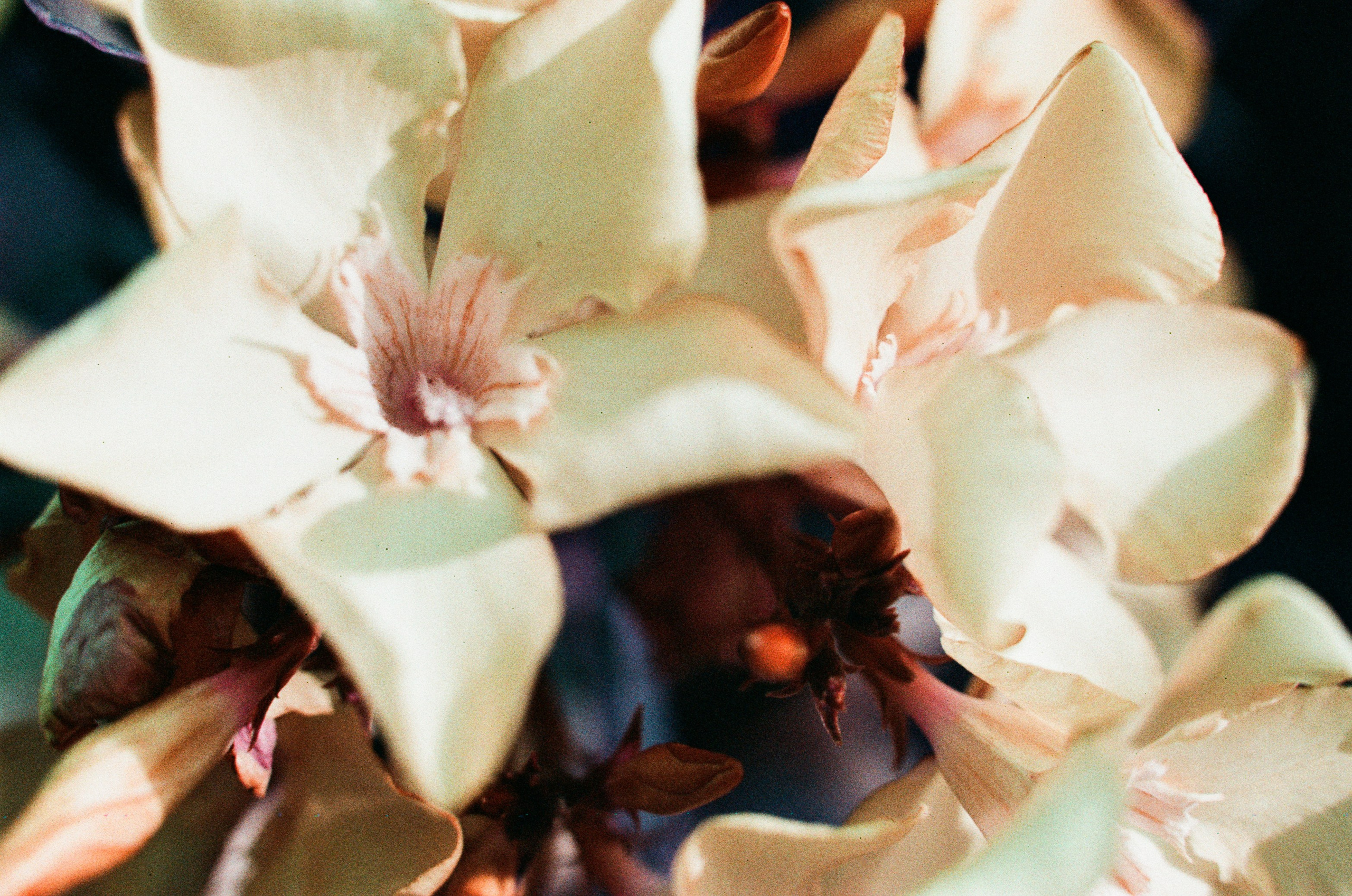 Point of no reply // ukraine, crimea IV. EVER EXPOSED