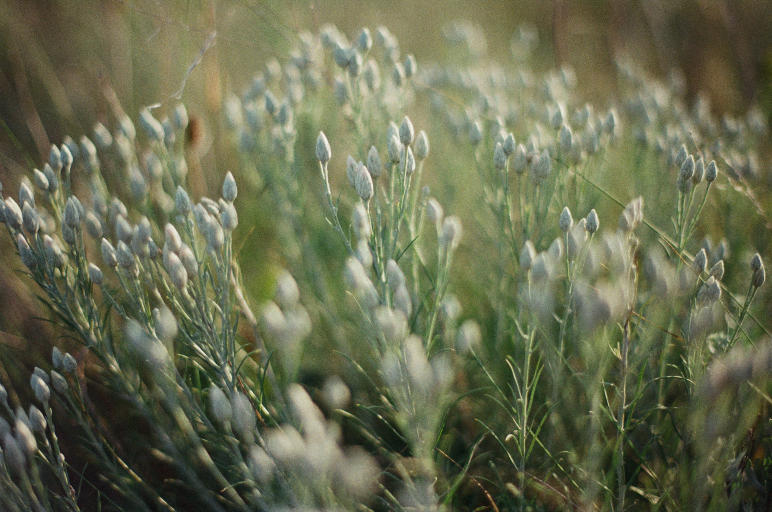 Silent running // ukraine, crimea III. EVER EXPOSED