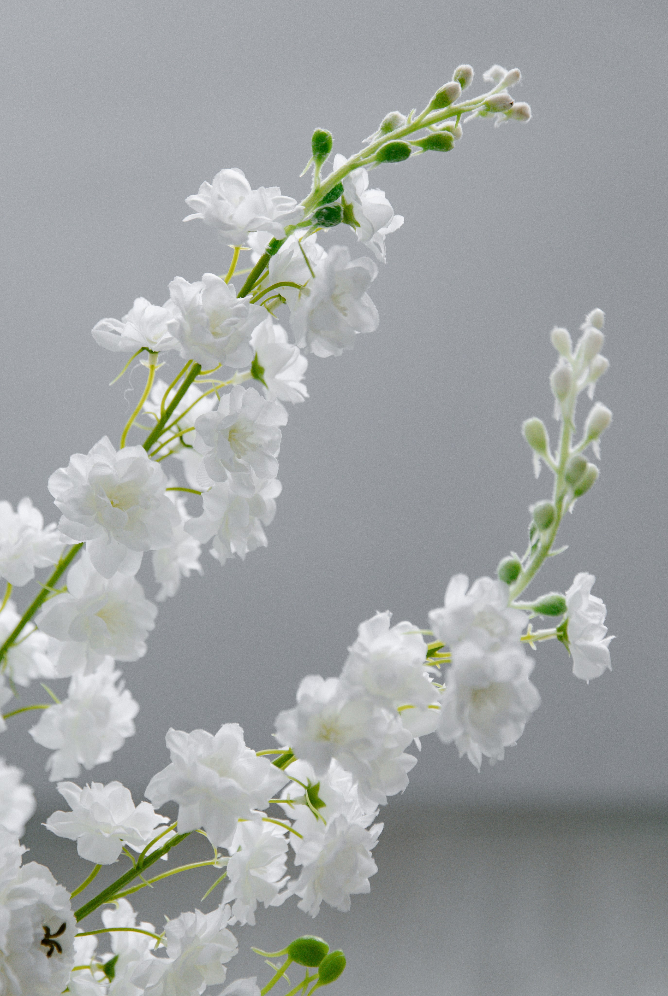 Вика. Свадебный и семейный фотограф в Таганроге и Ростове Руднева Анастасия