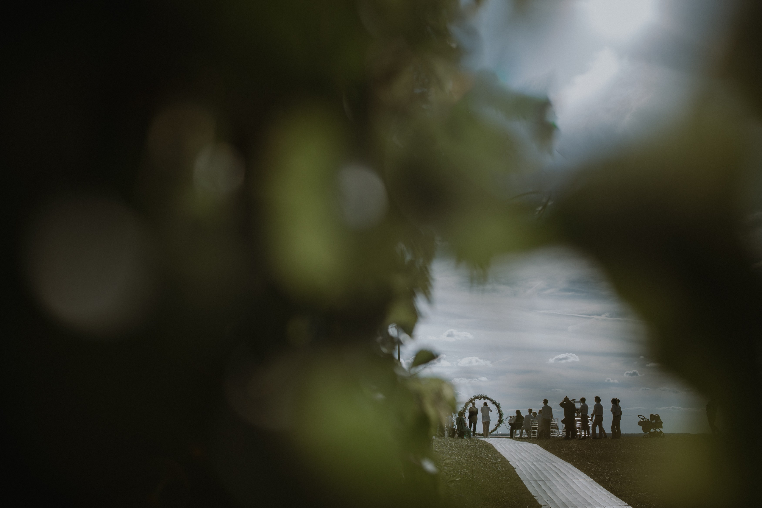 Антон и Александра. Свадебный фотограф в Ярославле Андрей Перегудов