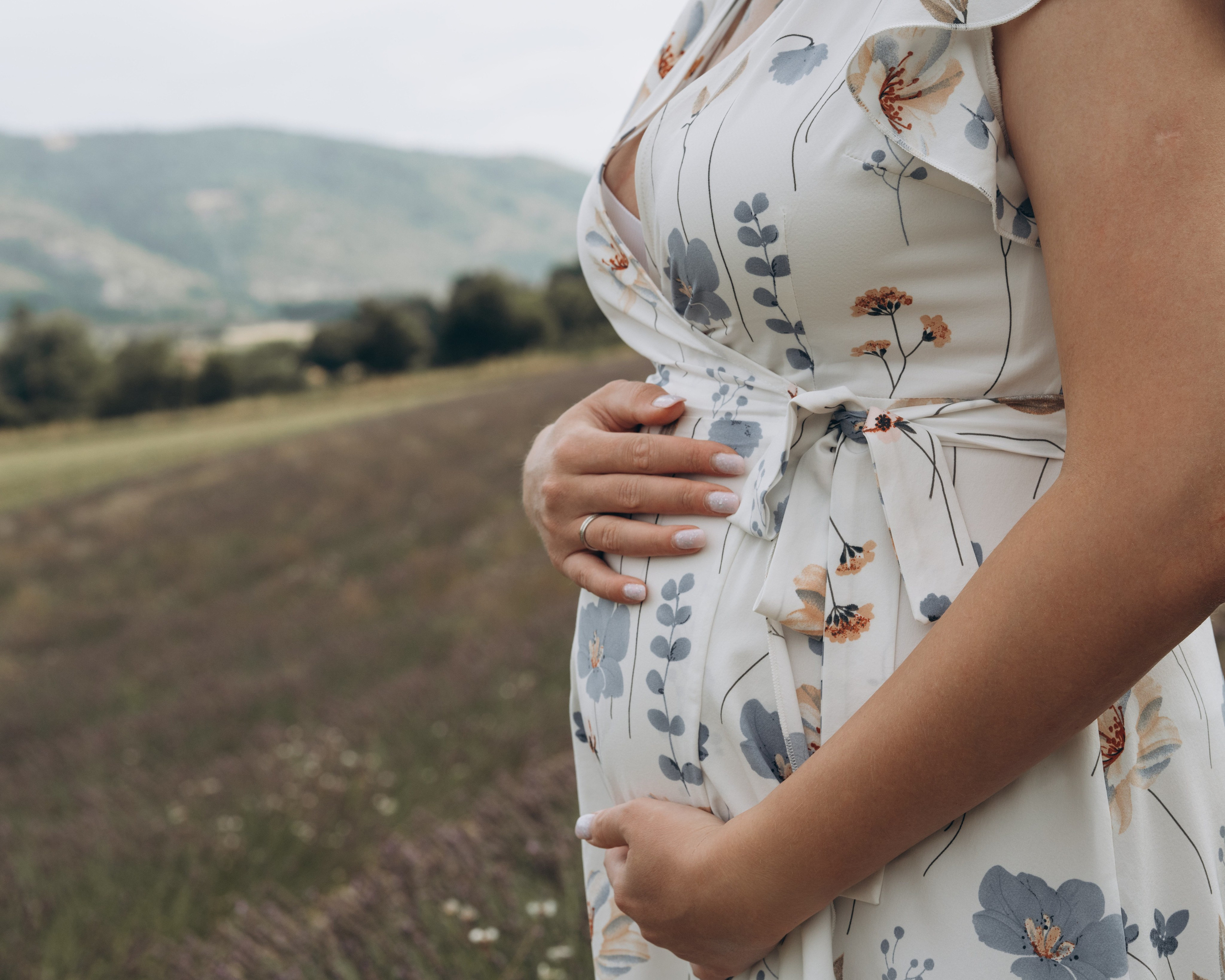 Femme enceinte dans un champ de lavande au petit matin, Provence