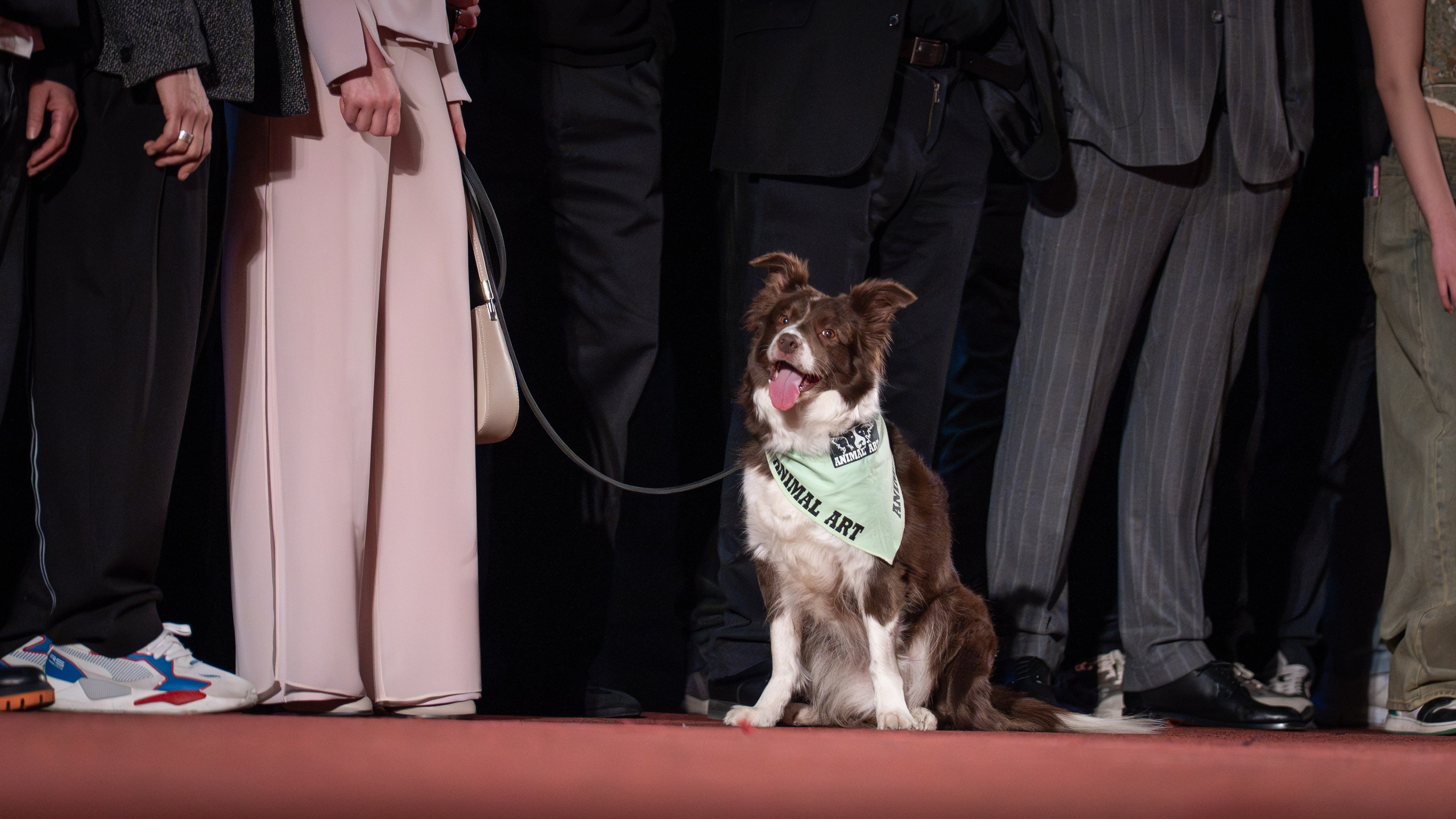 Космическая собака Лида. Премьера Космическая собака Лида. Фильм Космическая собака Лида. Космическая собака Лида смотреть. Каро 11 Октябрь