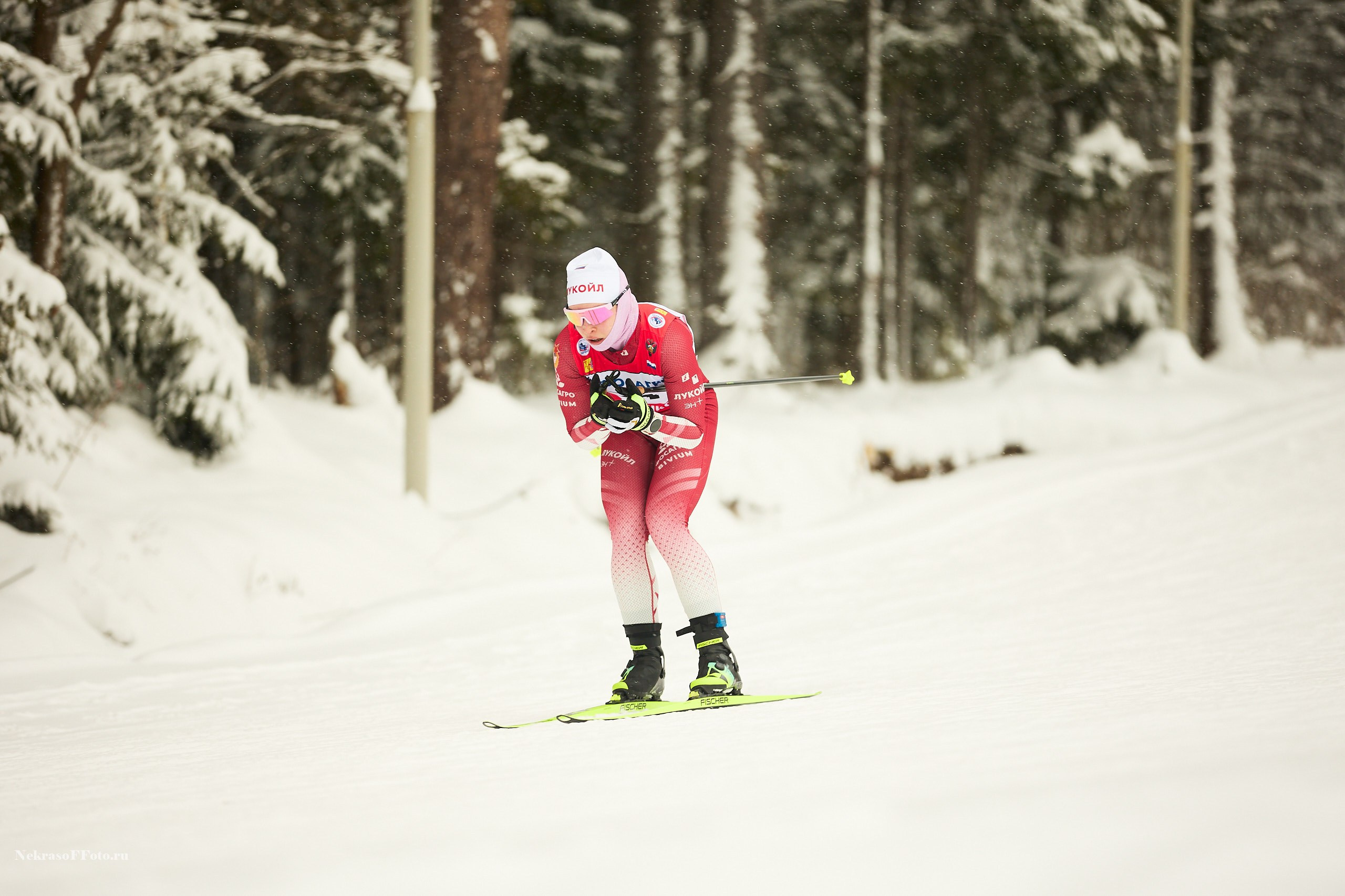 Кубок России по Лыжным гонкам. Спортивный фотограф Некрасов Денис