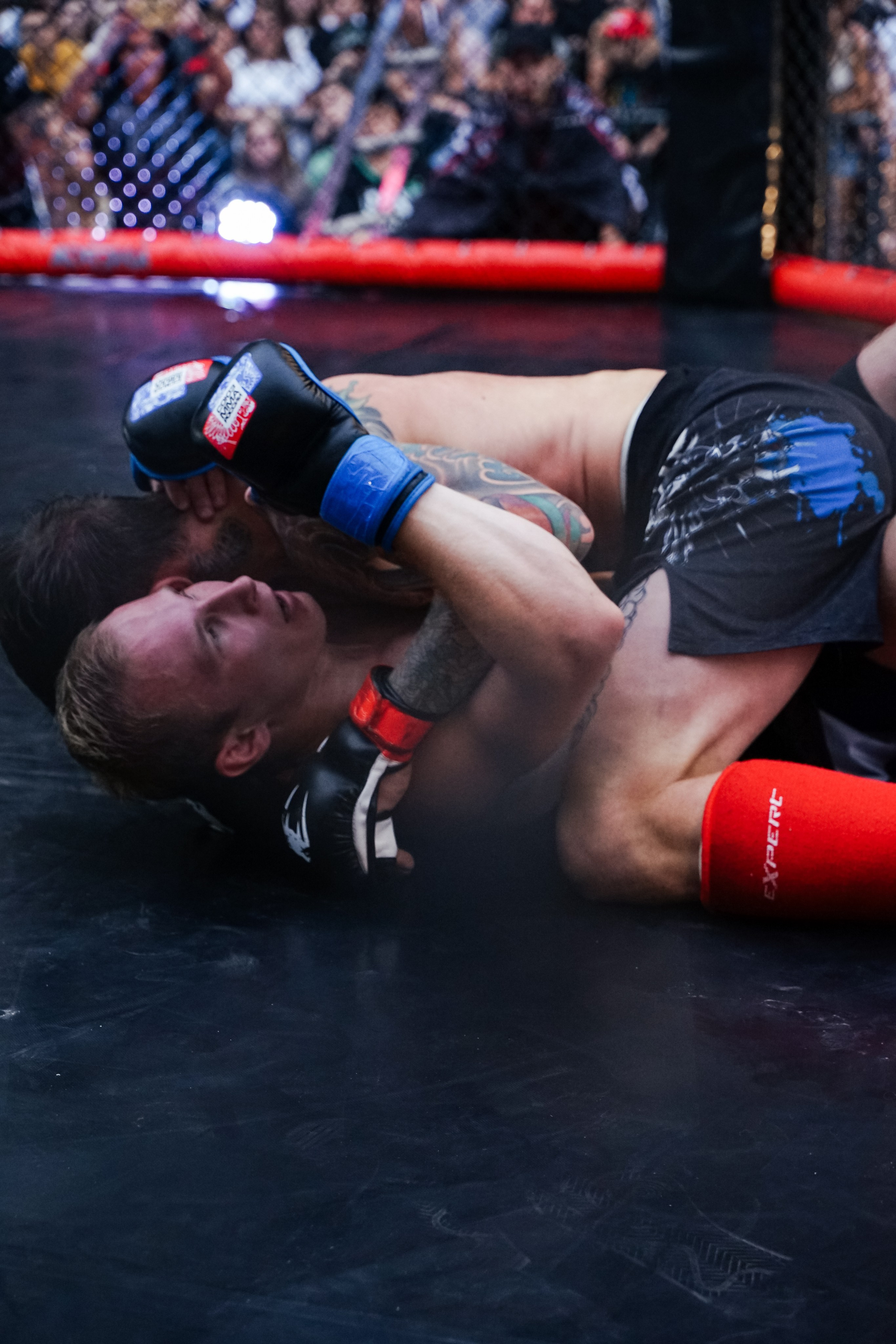 Вечер боев в ЦПКиО. Фотограф Надежда Погребняк | Рязань | Москва