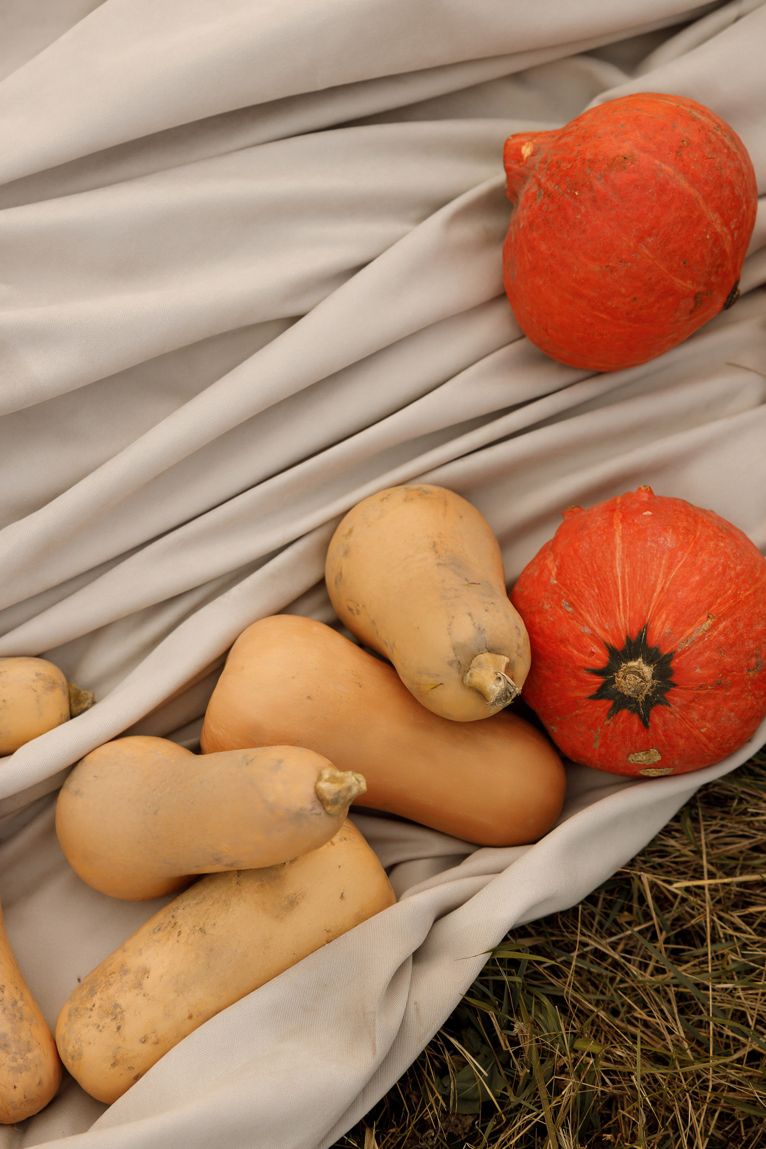 Ясная Поляна. Свадебный и семейный фотограф  во Владивостоке Ольга Украинец