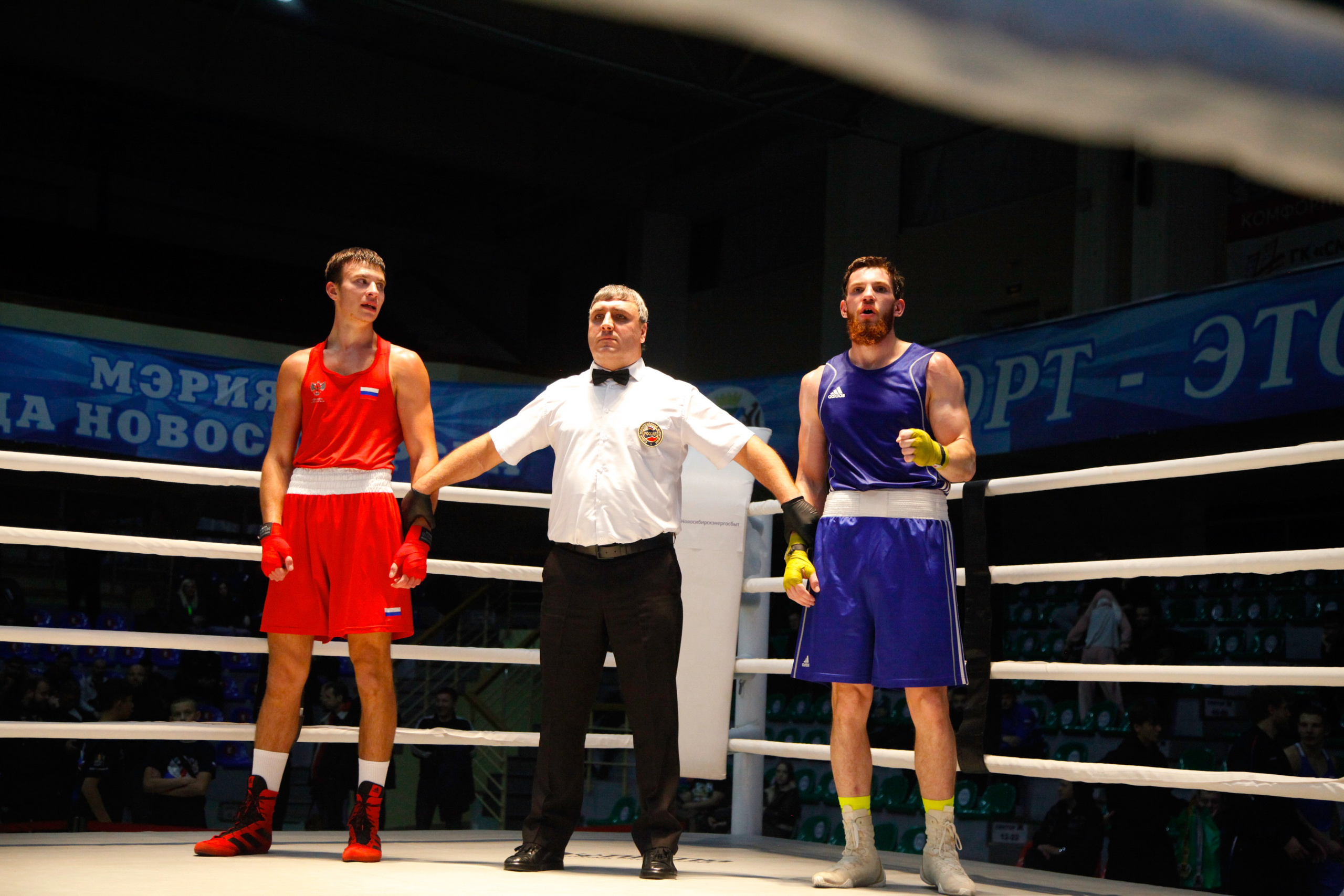 БОКС. Фото. Спортивный фотограф, трансляция, звук и свет в Новосибирске