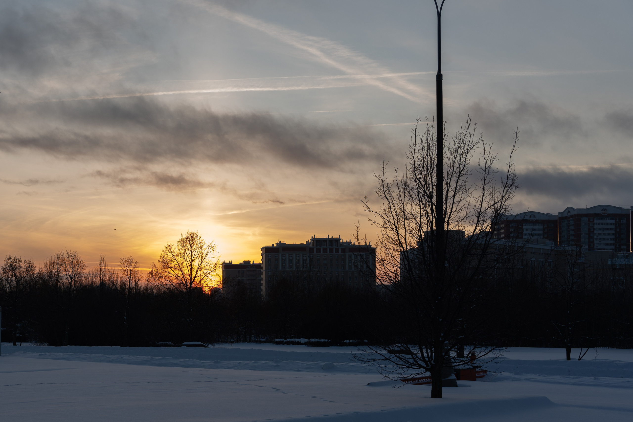 20260118 МГУ. Дмитрий Ремизов. Фотография, как хобби