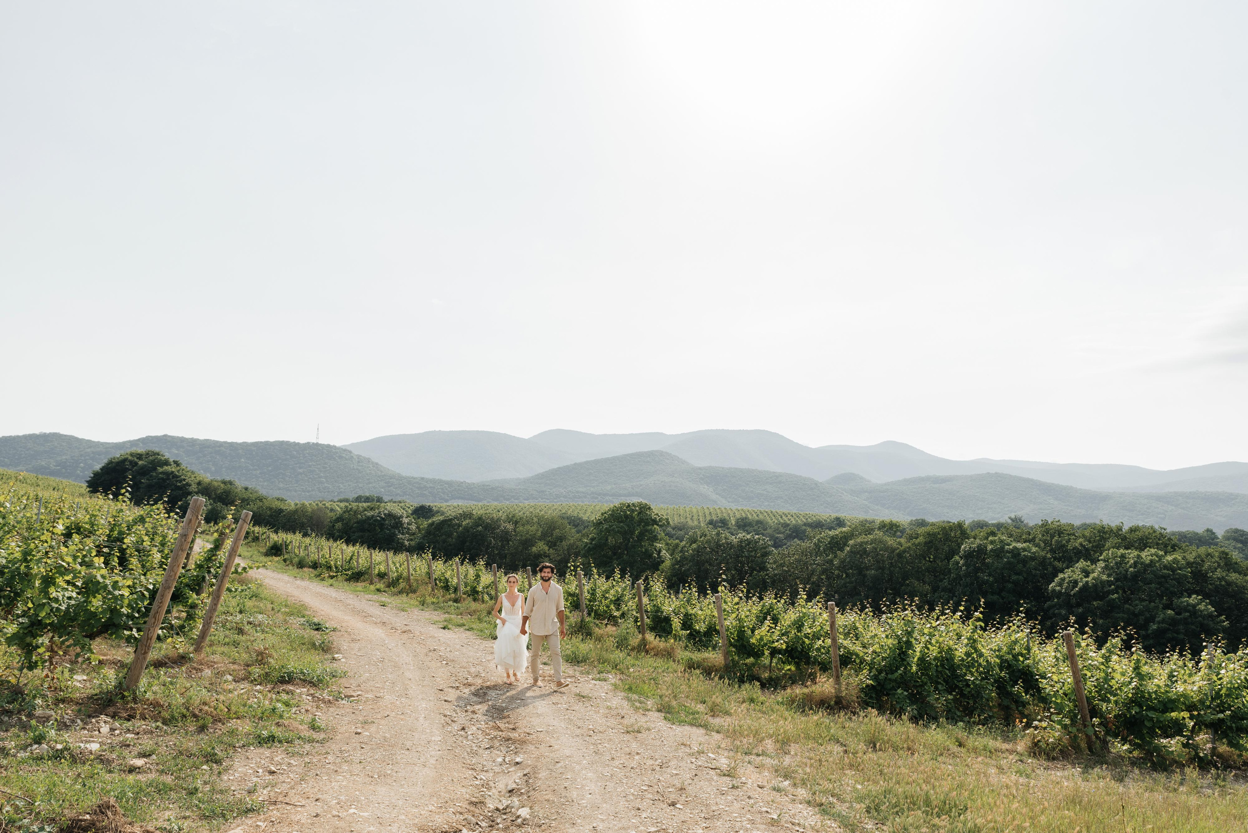 Ваге & Аня. Wedding photographers Alex Abramyan