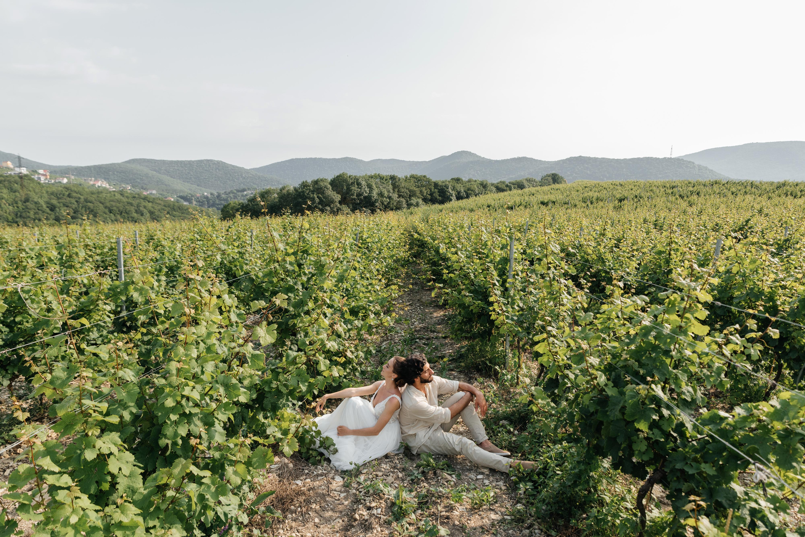 Ваге & Аня. Wedding photographers Alex Abramyan