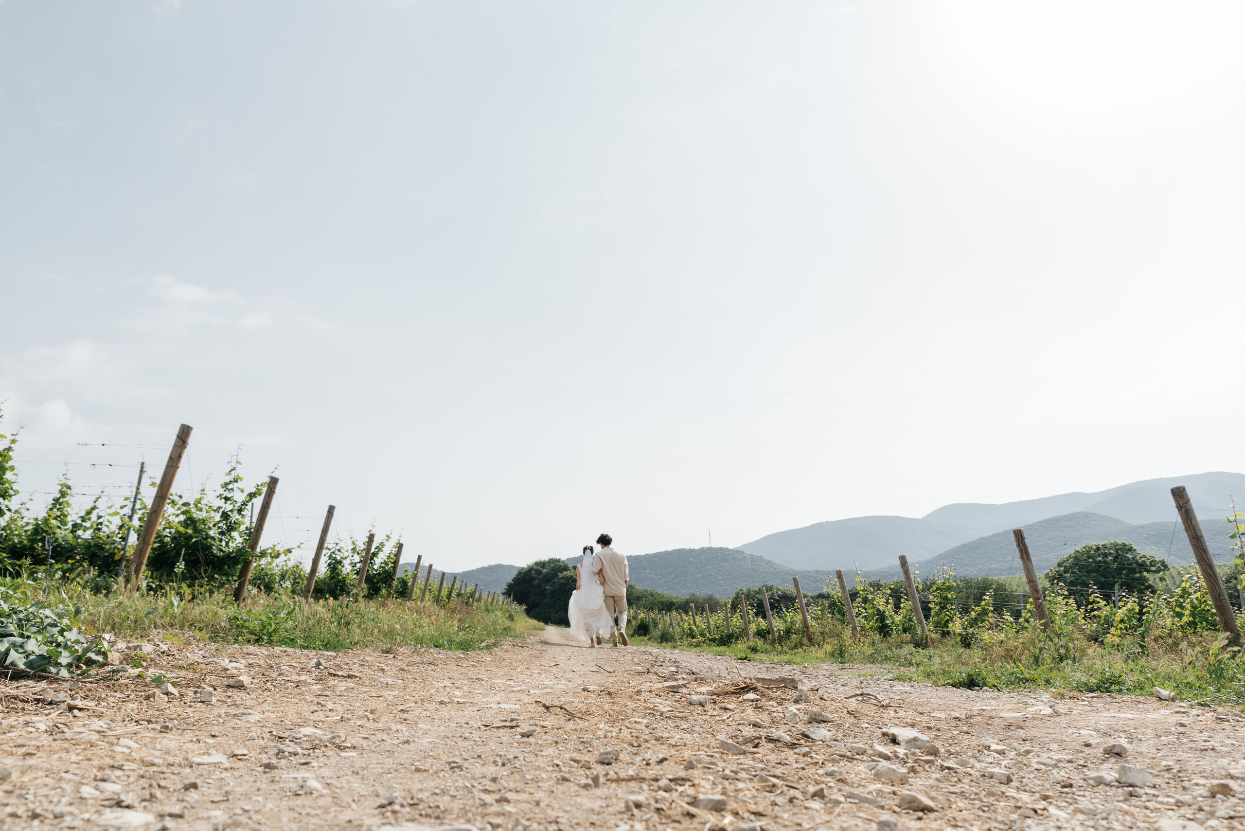 Ваге & Аня. Wedding photographers Alex Abramyan