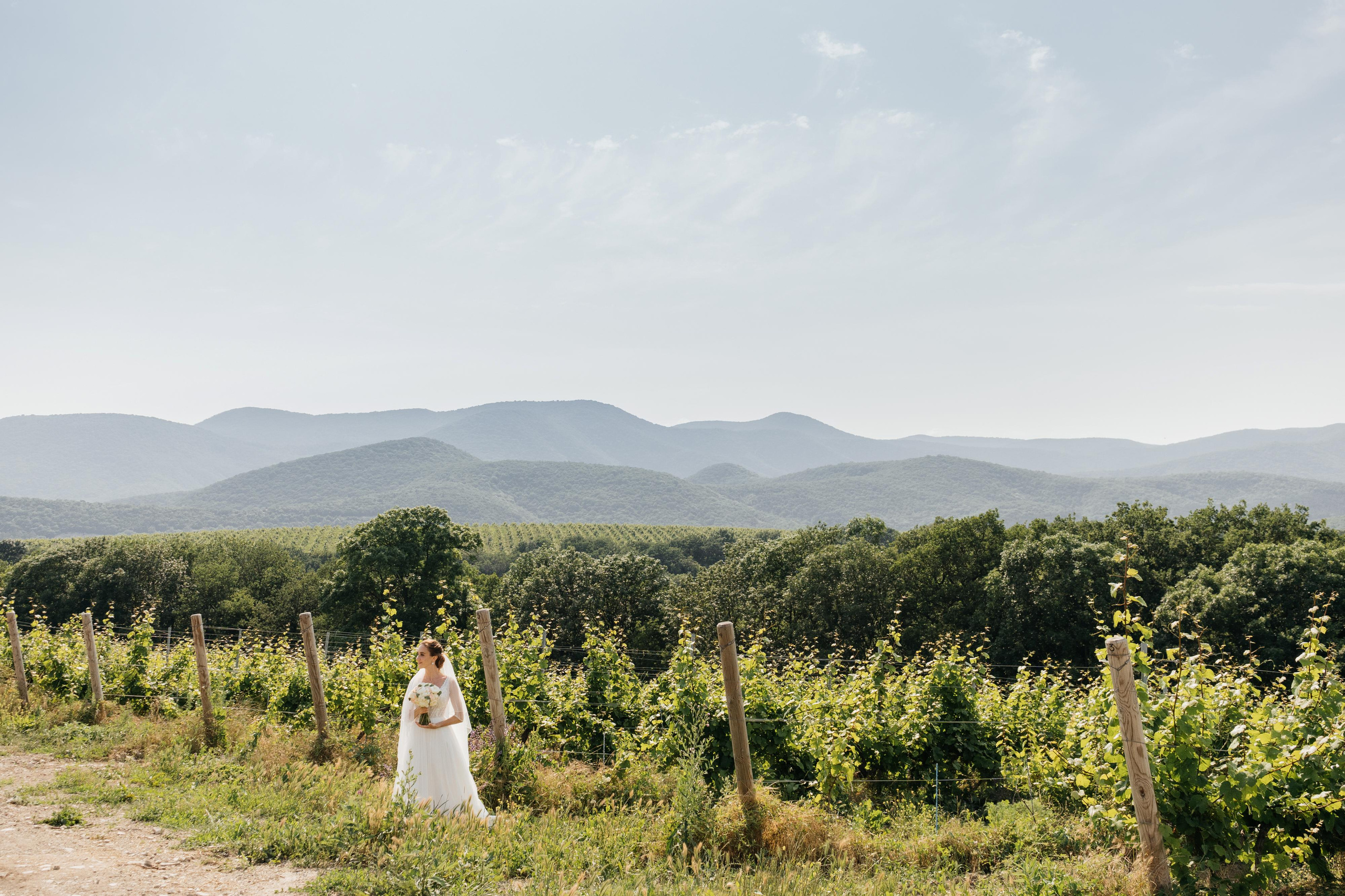 Ваге & Аня. Wedding photographers Alex Abramyan