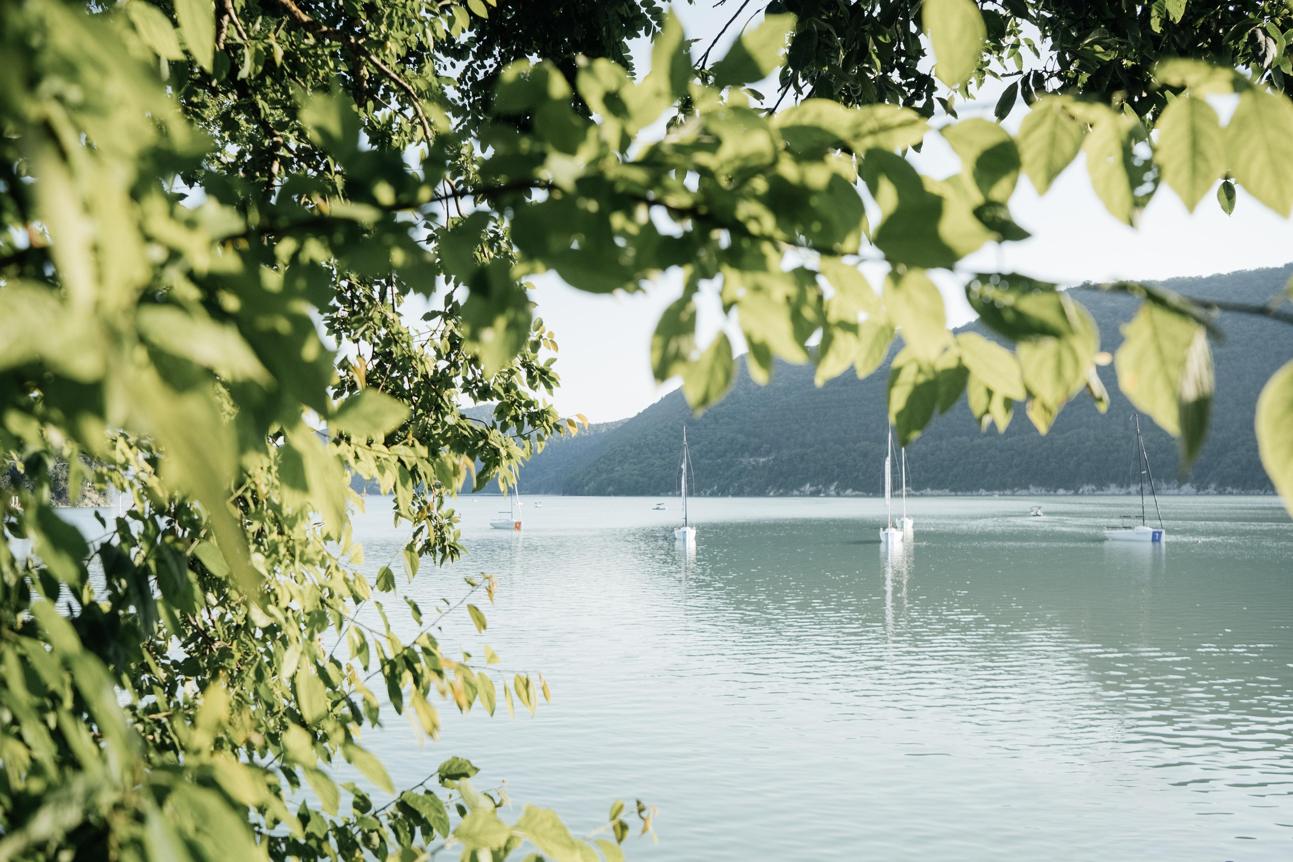 Ваге & Аня. Wedding photographers Alex Abramyan