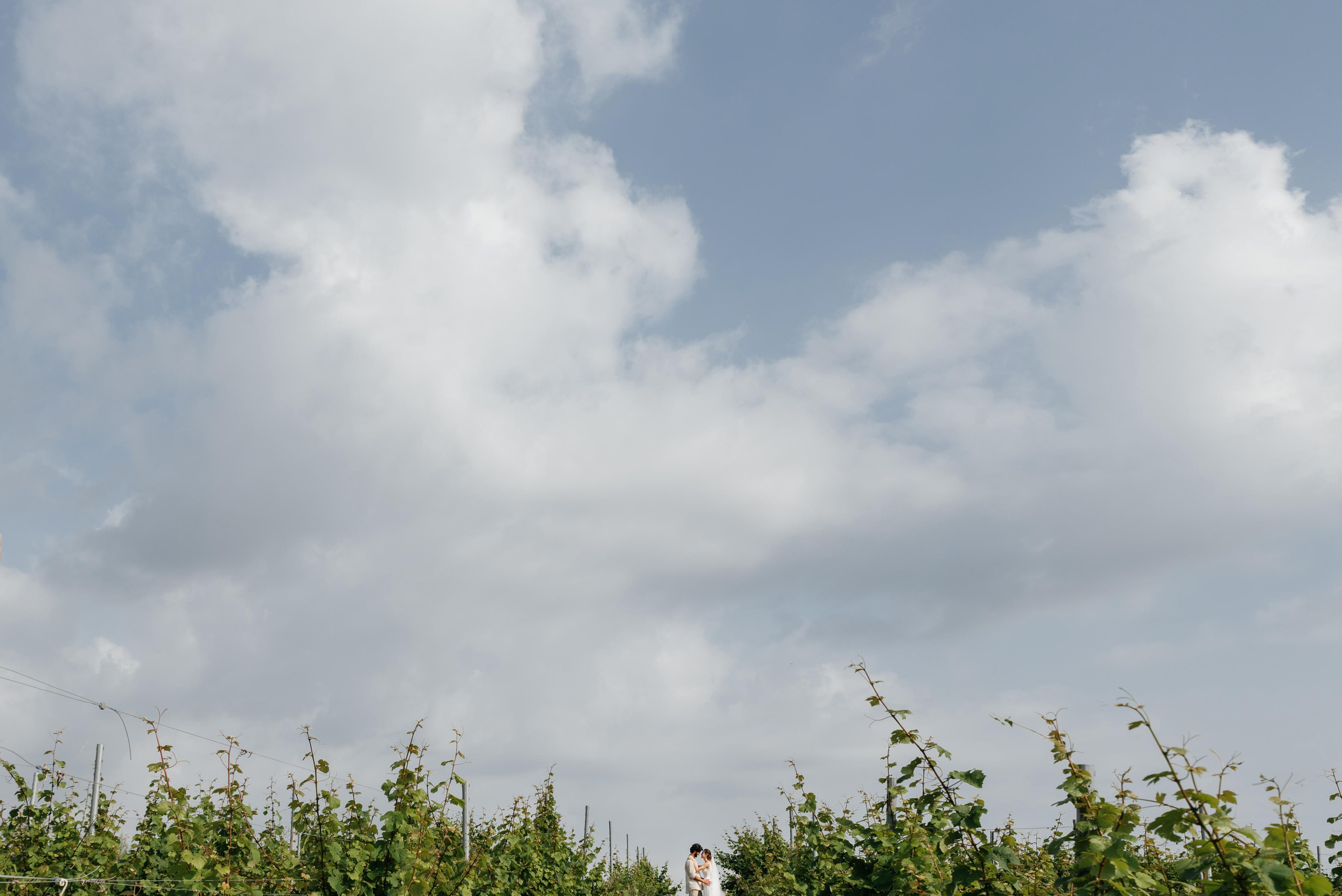 Ваге & Аня. Wedding photographers Alex Abramyan