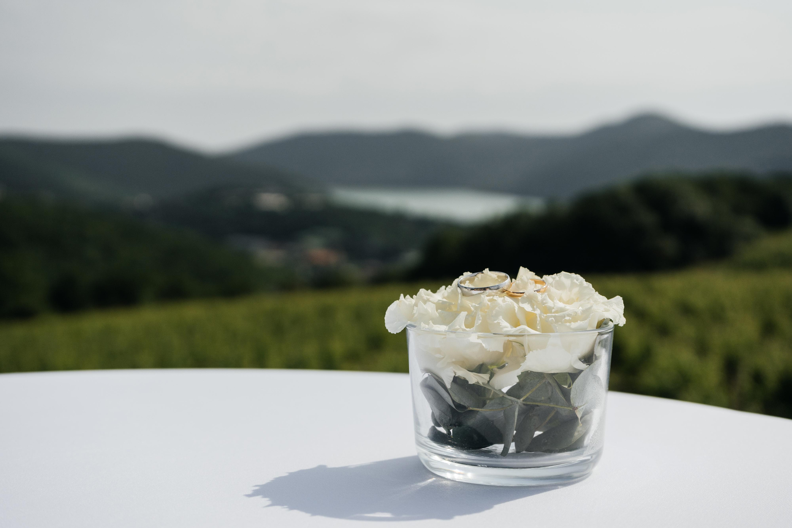 Ваге & Аня. Wedding photographers Alex Abramyan