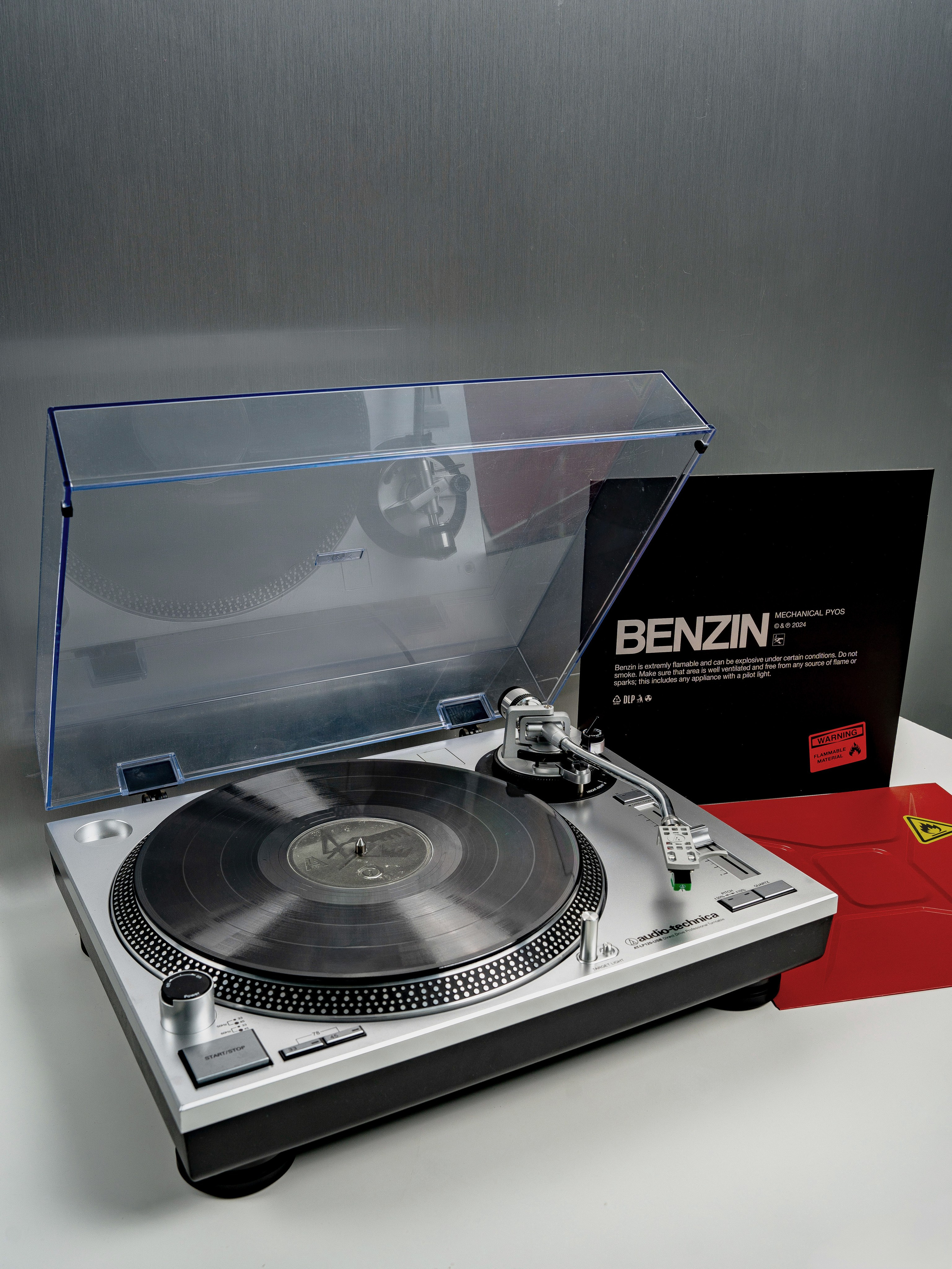 Дельфин. Портретный фотограф Москва Белогорцев Сергей