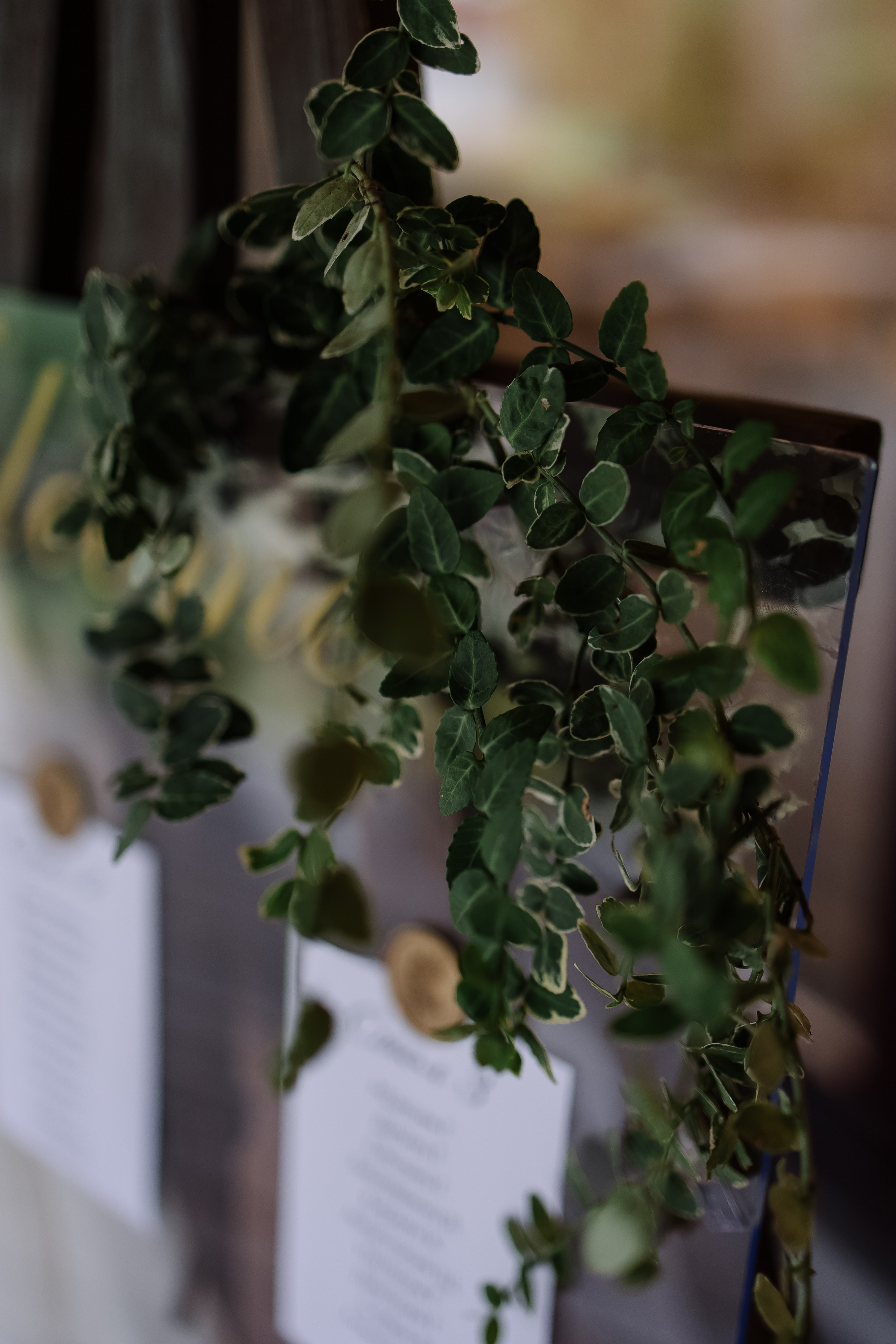 Егор/Арина. Свадебный фотограф