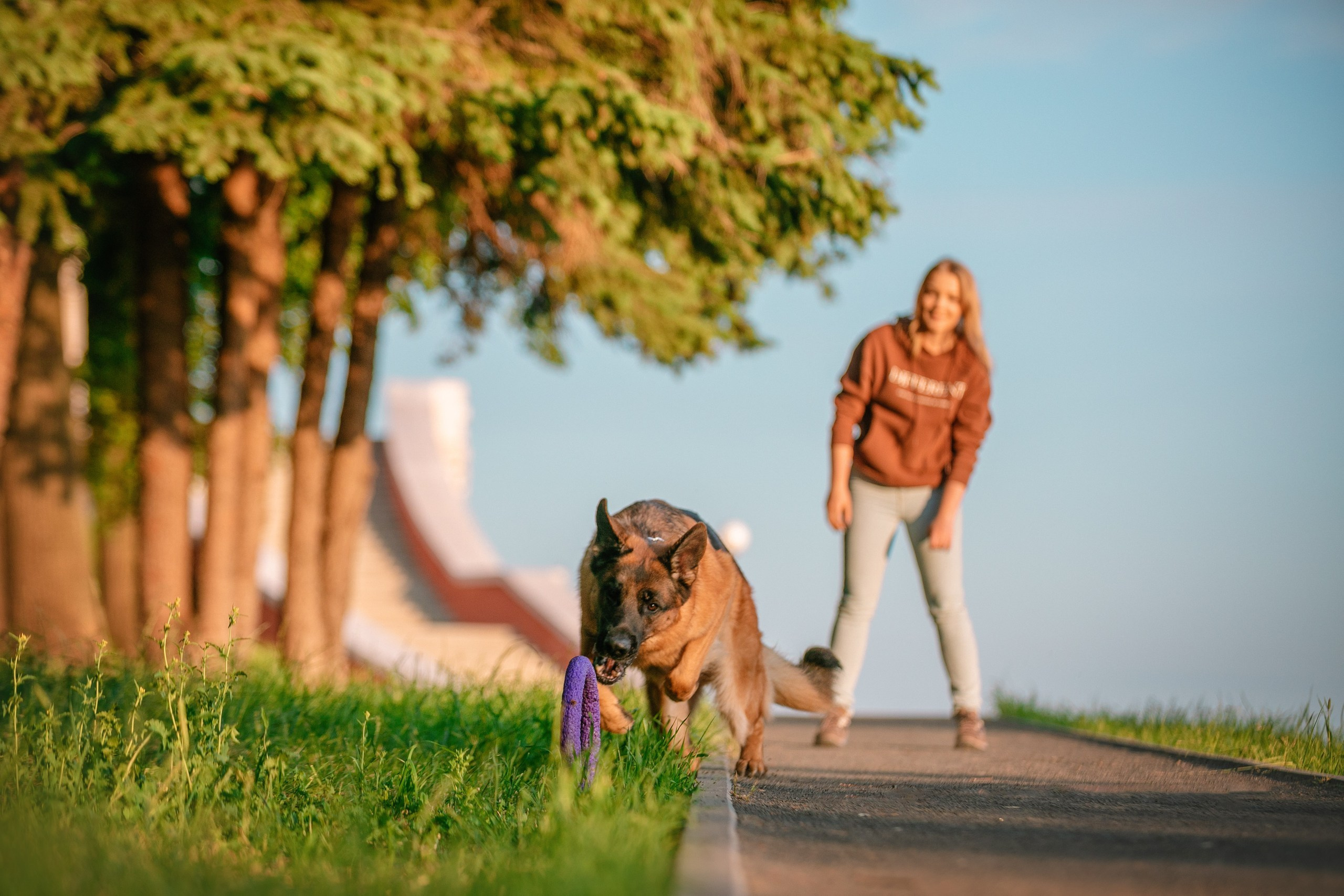 НО Расмус. Рассвет. Фотограф анималист Кузнецова Анна Нижний Новгород