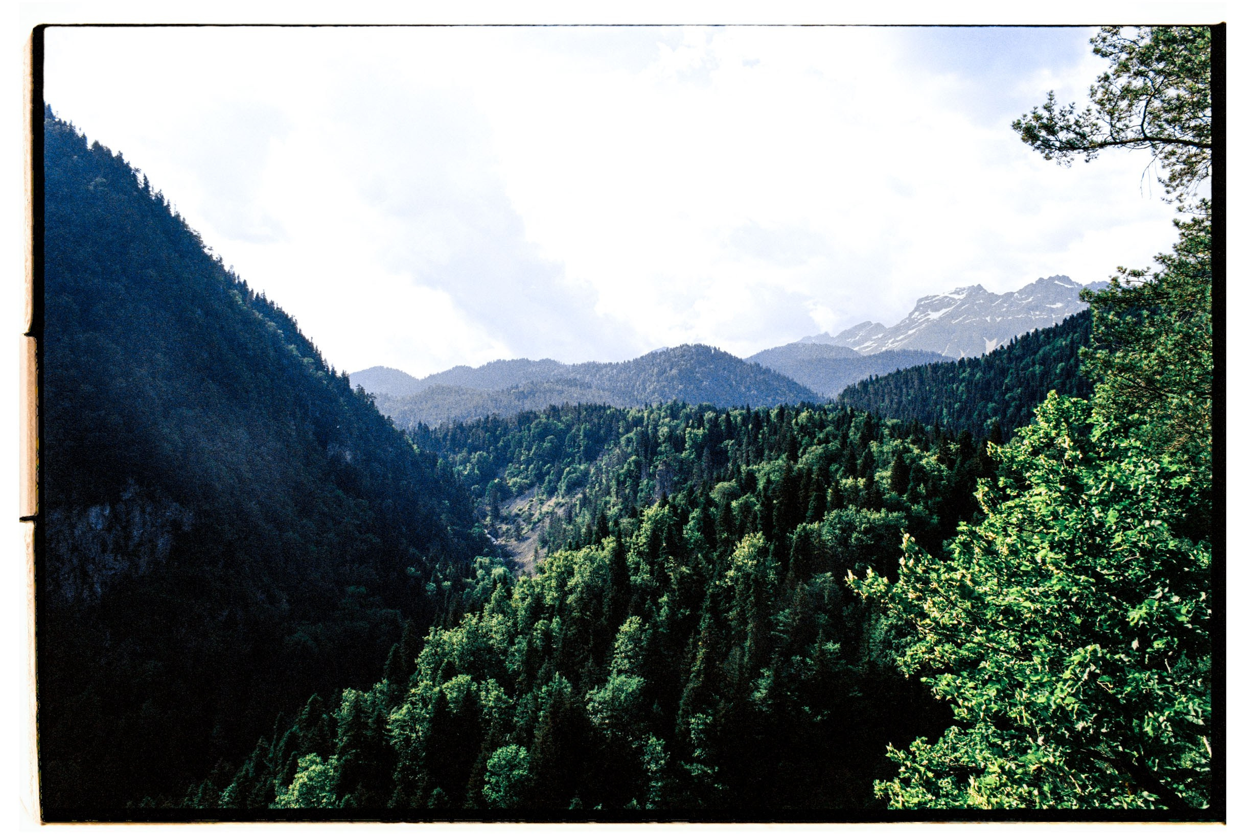 Abkhazia-2023. Никита Демидов. Nikita Demidov