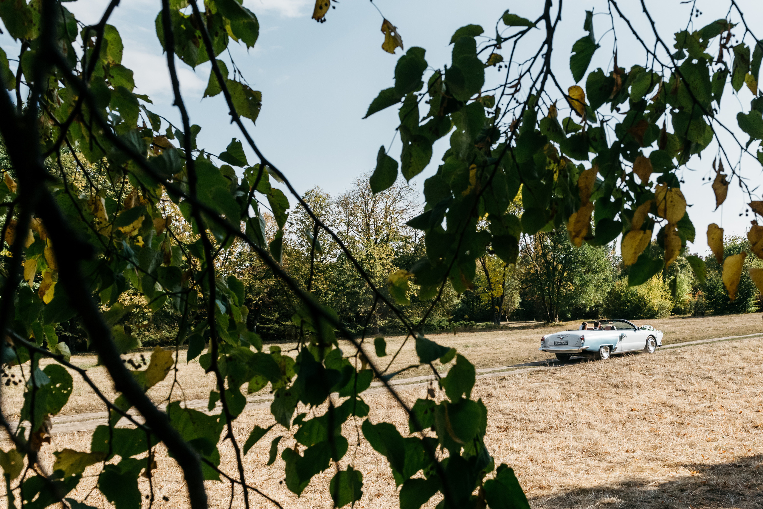 Влад и Дарья. Свадебный и семейный фотограф в Ставрополе Роман Иванов