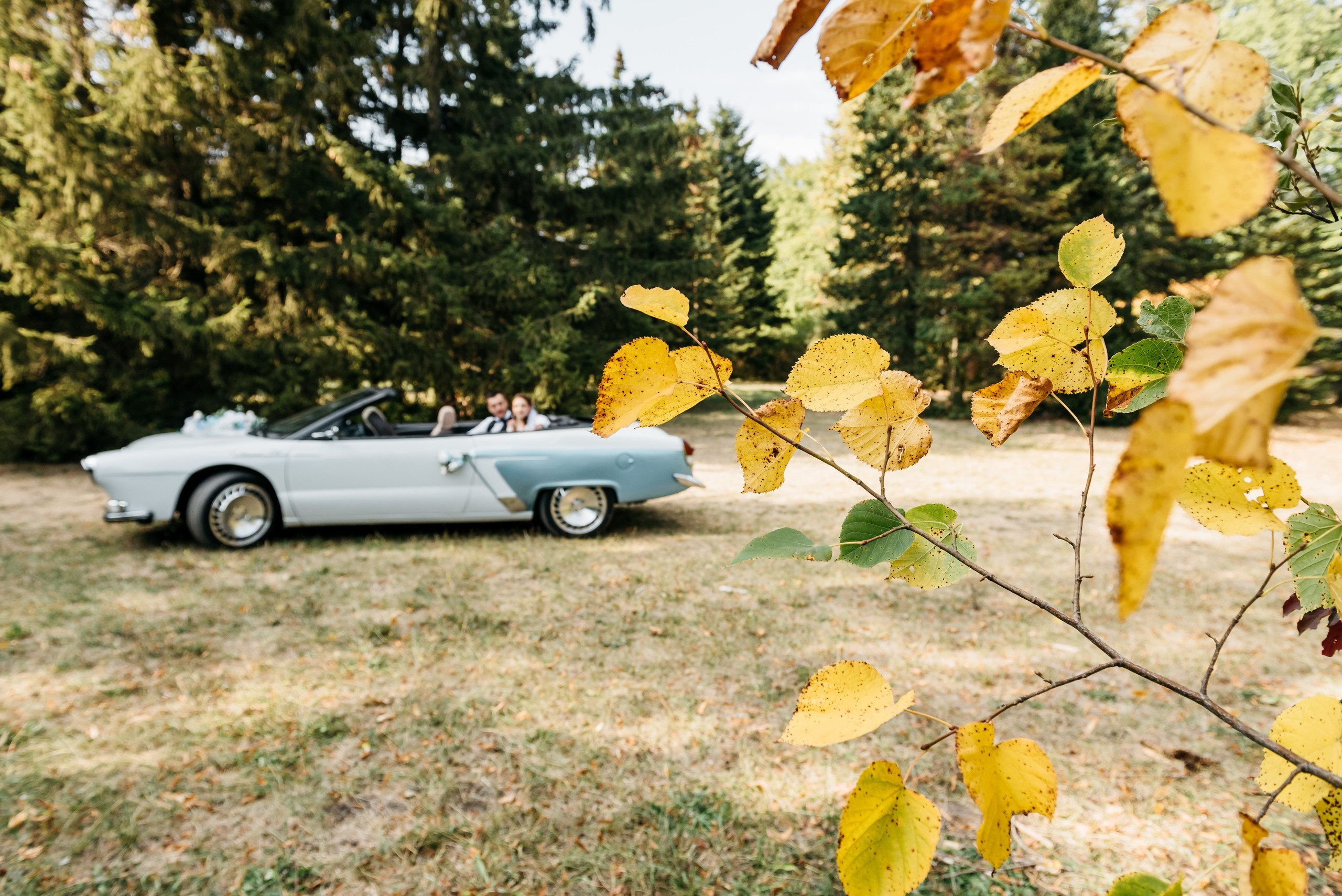 Влад и Дарья. Свадебный и семейный фотограф в Ставрополе Роман Иванов