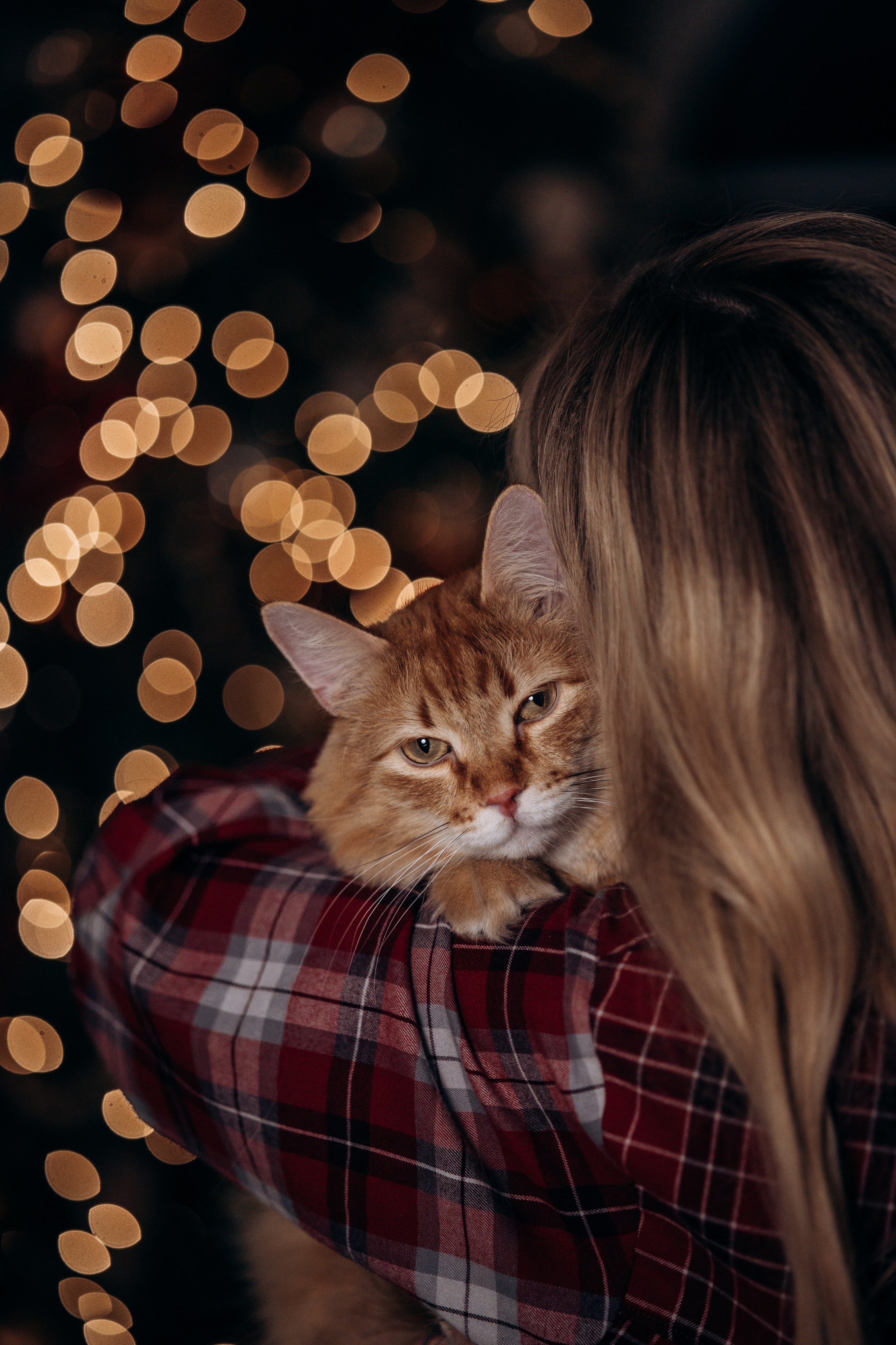 Эля и Франц. Фотограф — Анималист | Санкт-Петербург