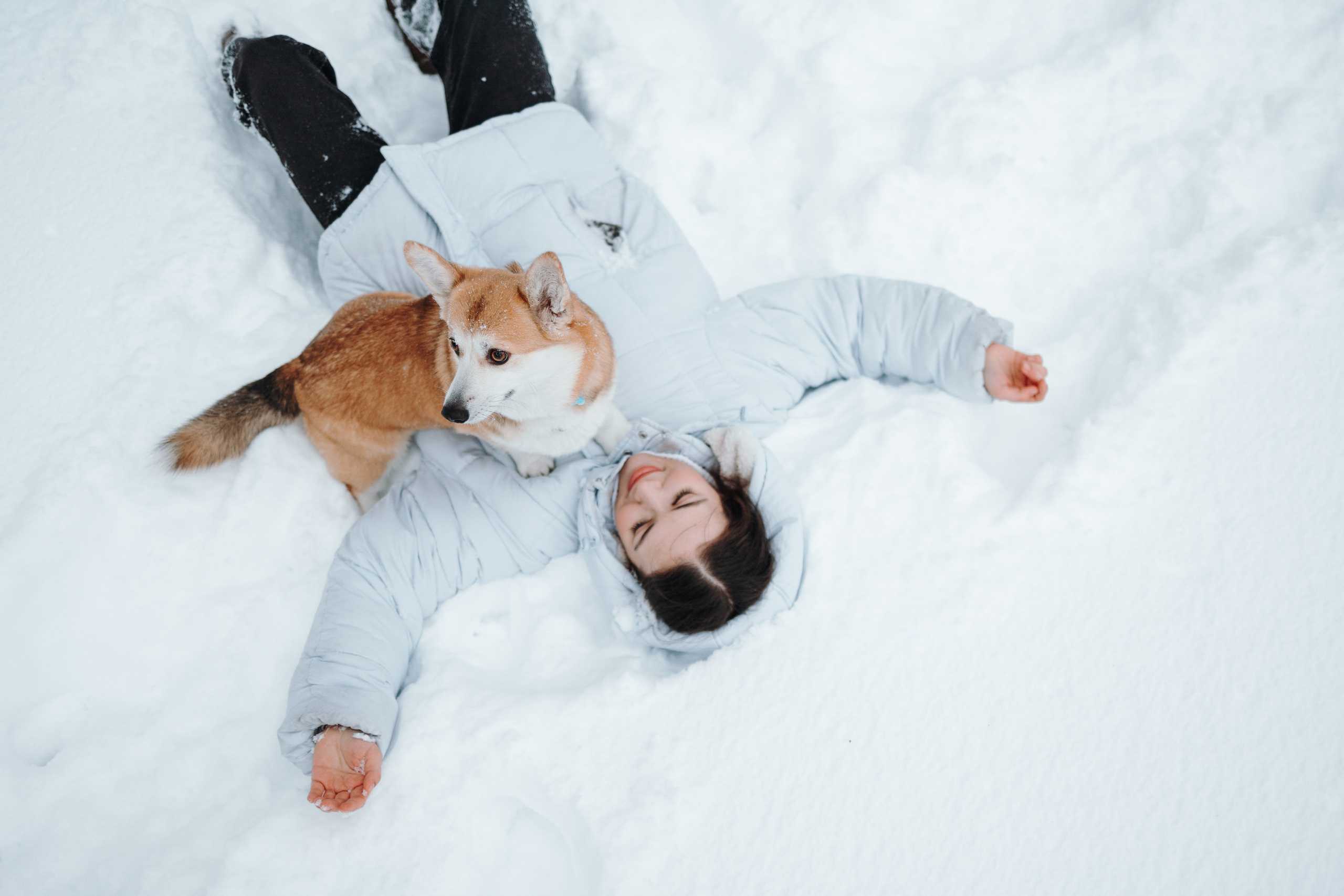 Оливка и ее семья. Фотограф — Анималист | Санкт-Петербург