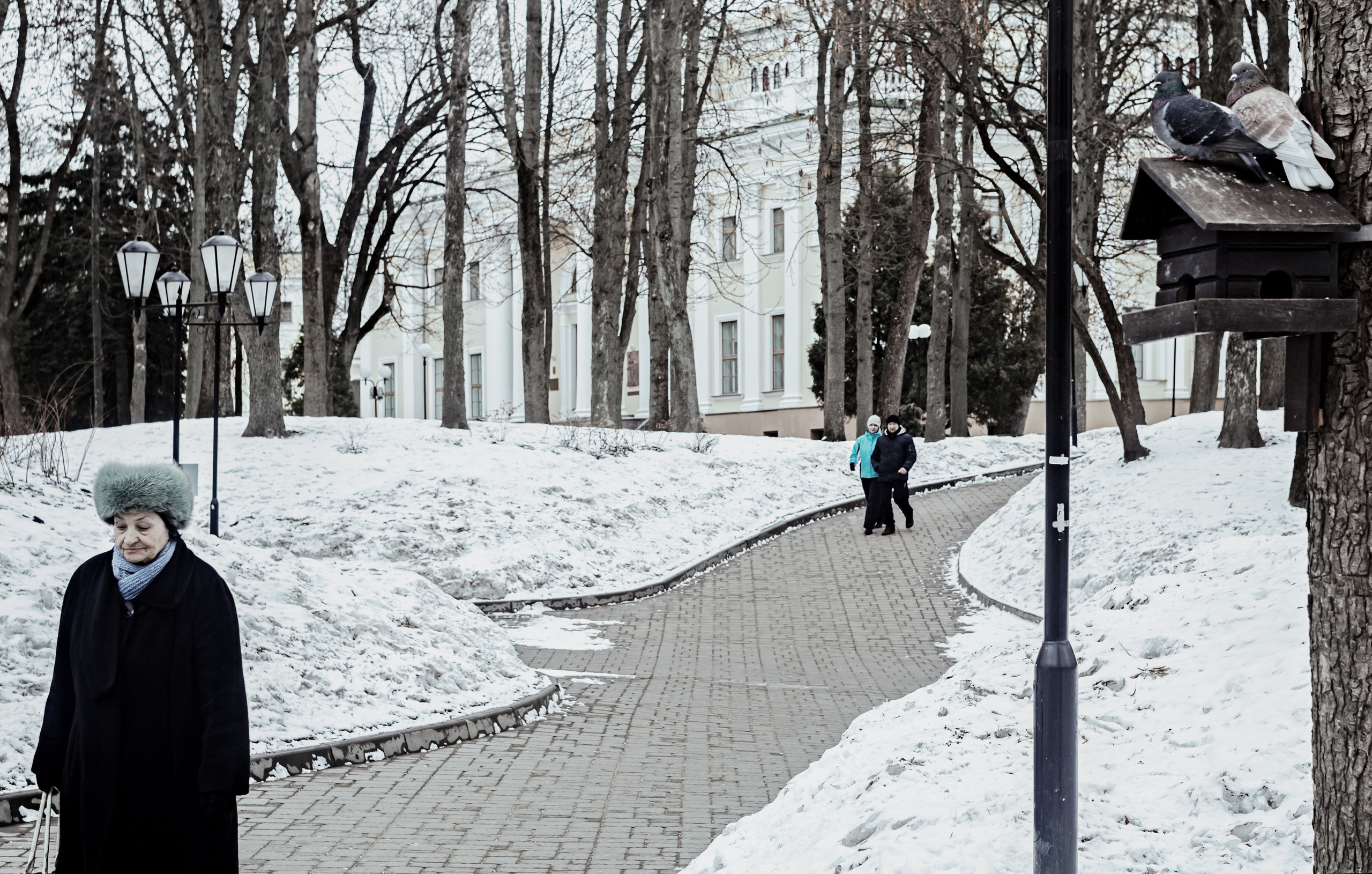 картина, фотокартина, картина в Гомеле, painting, canvas