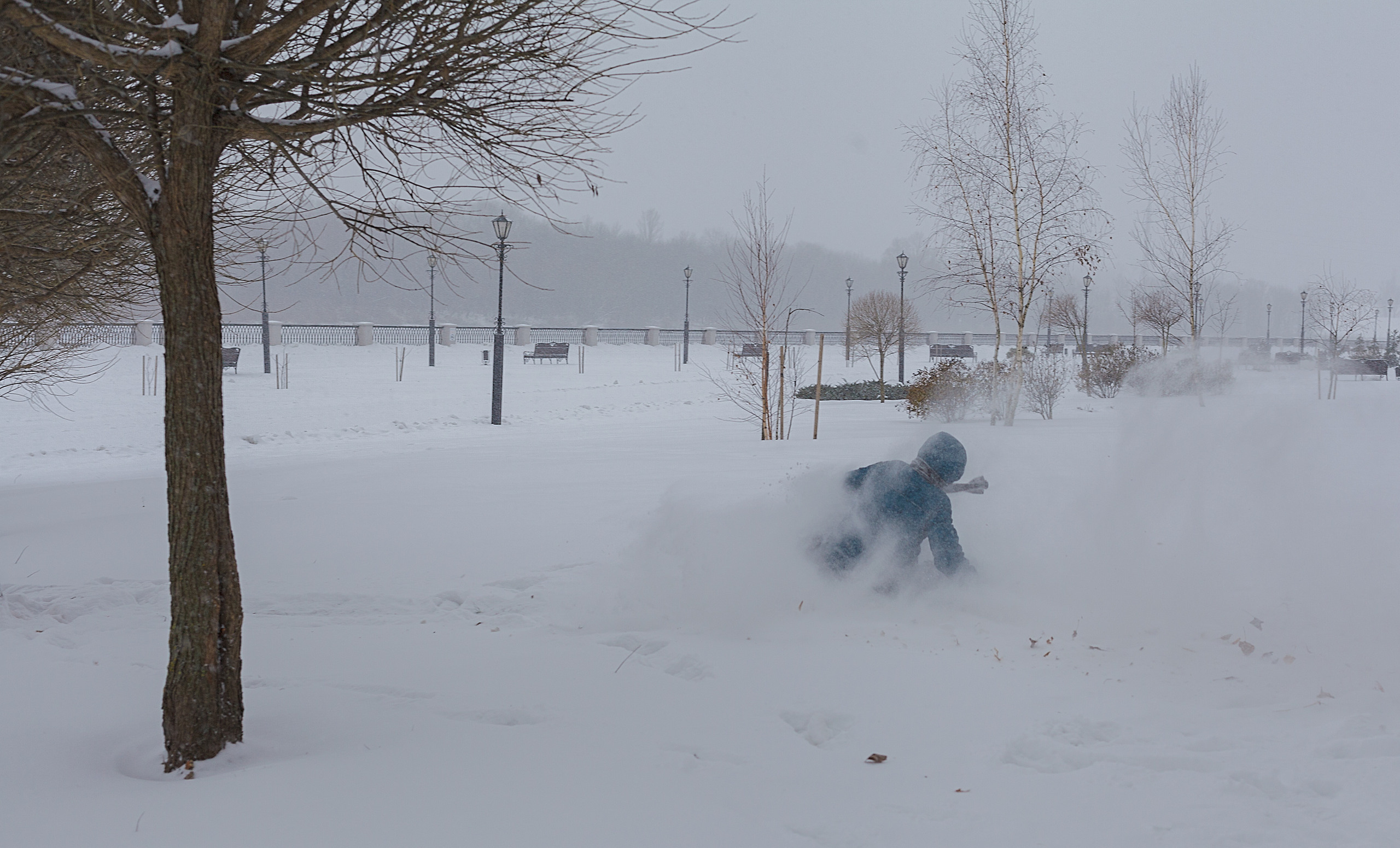 картина, фотокартина, картина в Гомеле, painting, canvas