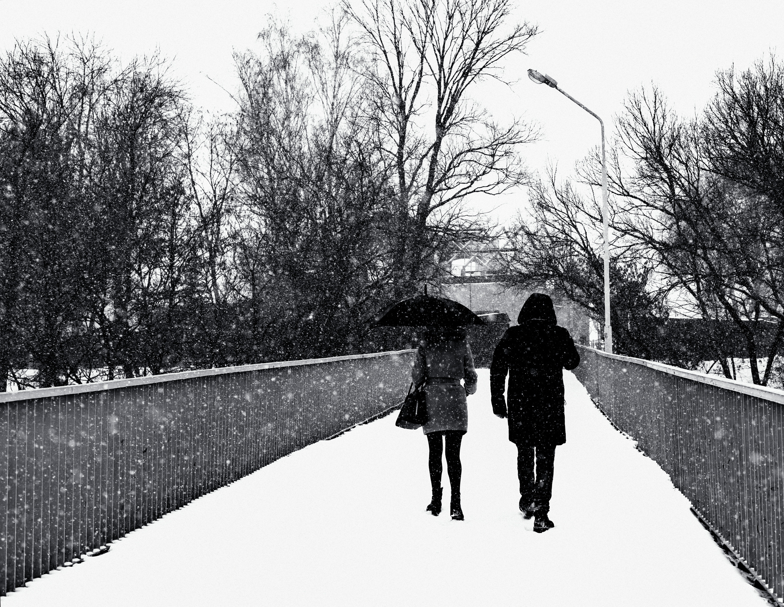 картина, фотокартина, картина в Гомеле, painting, canvas