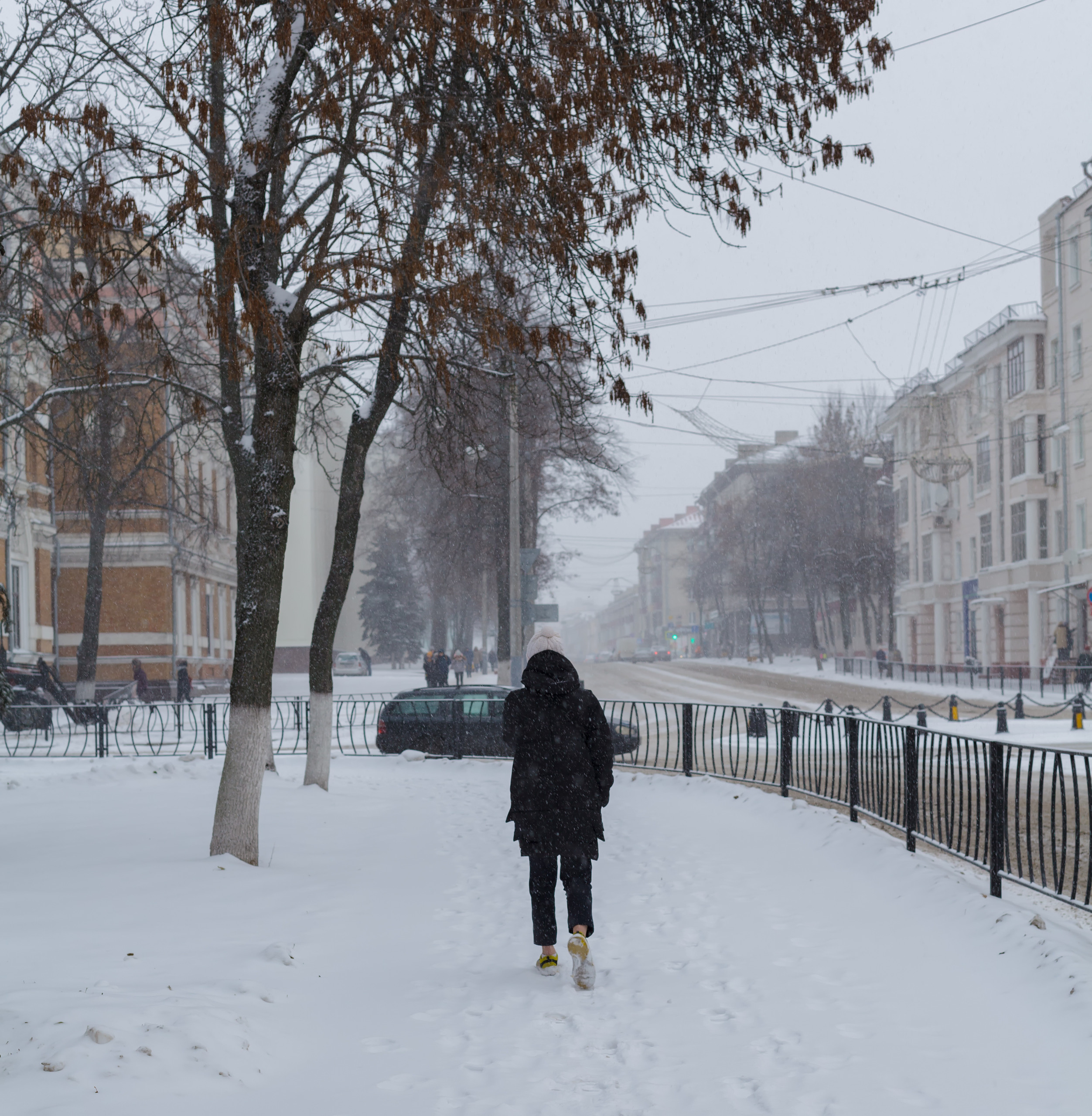 картина, фотокартина, картина в Гомеле, painting, canvas