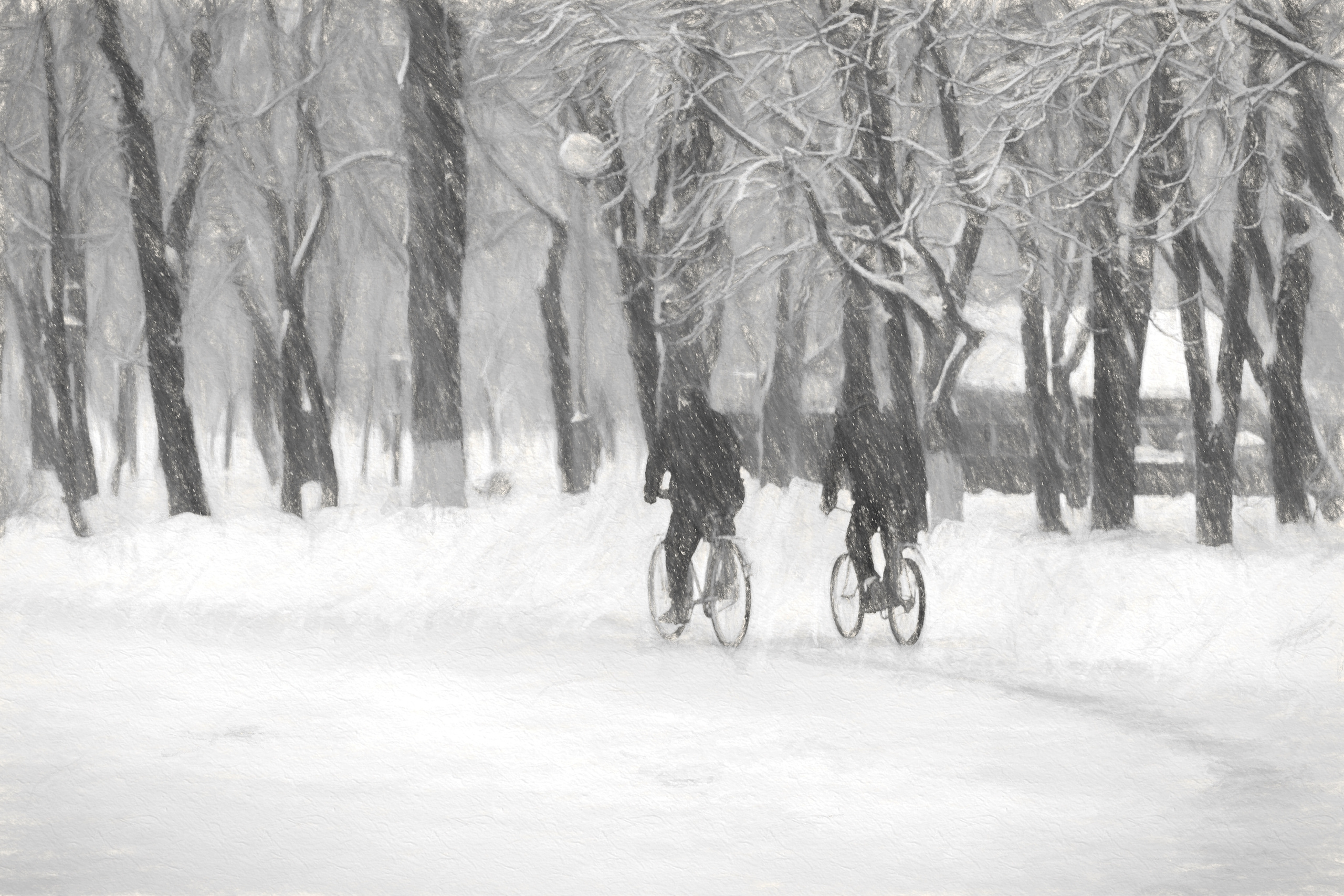 картина, фотокартина, картина в Гомеле painting, canvas