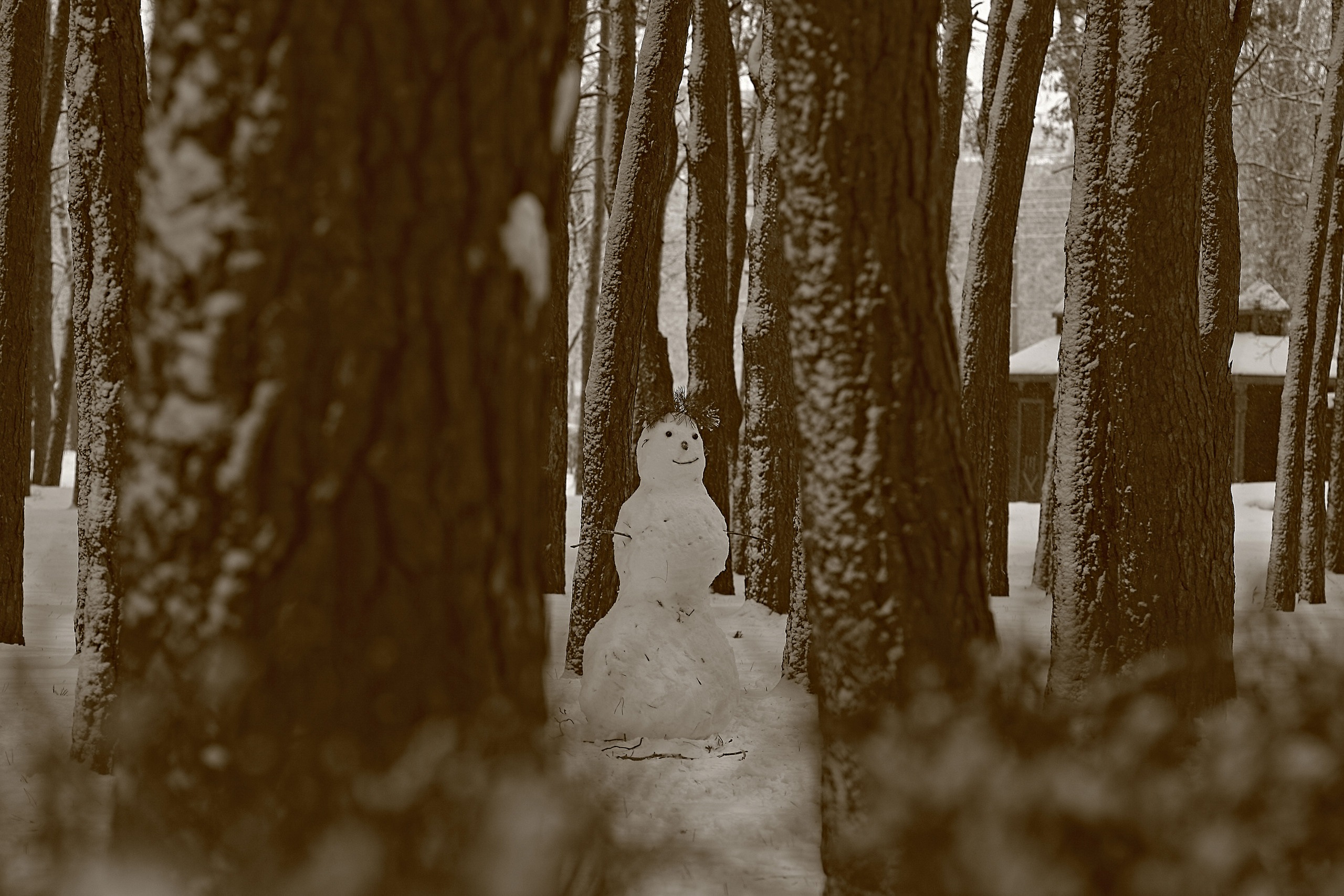 картина, фотокартина, картина в Гомеле, painting, canvas