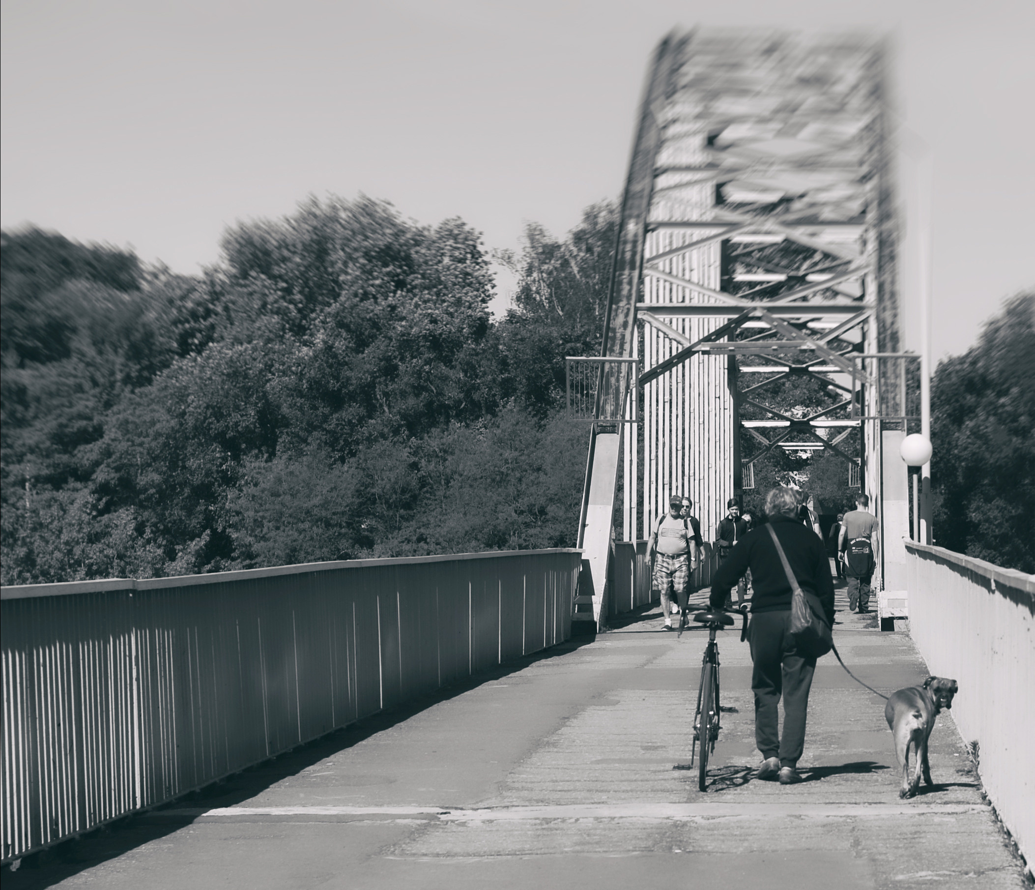 картина, фотокартина, картина в Гомеле, painting, canvas