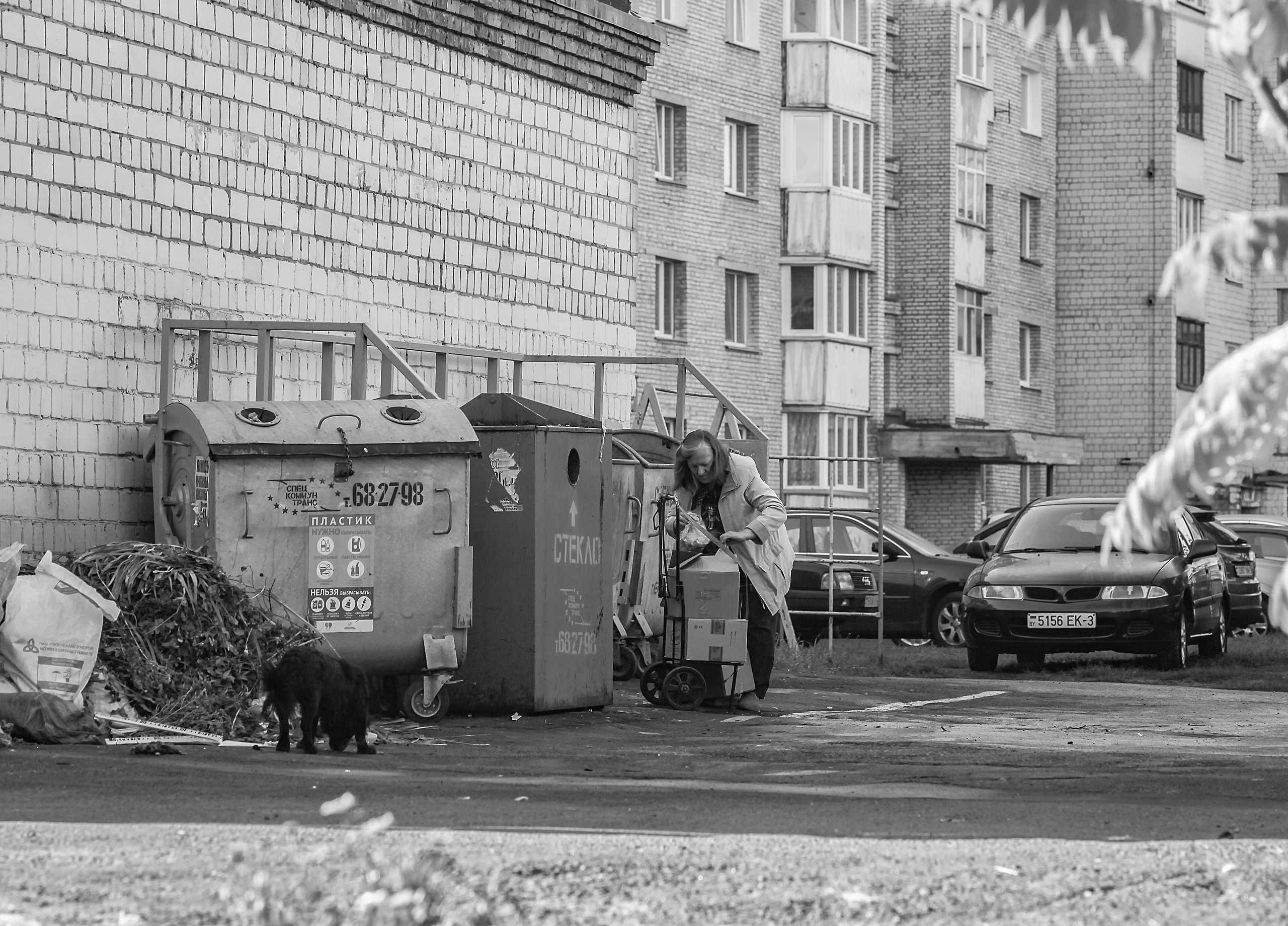 картина, фотокартина, картина в Гомеле, painting, canvas