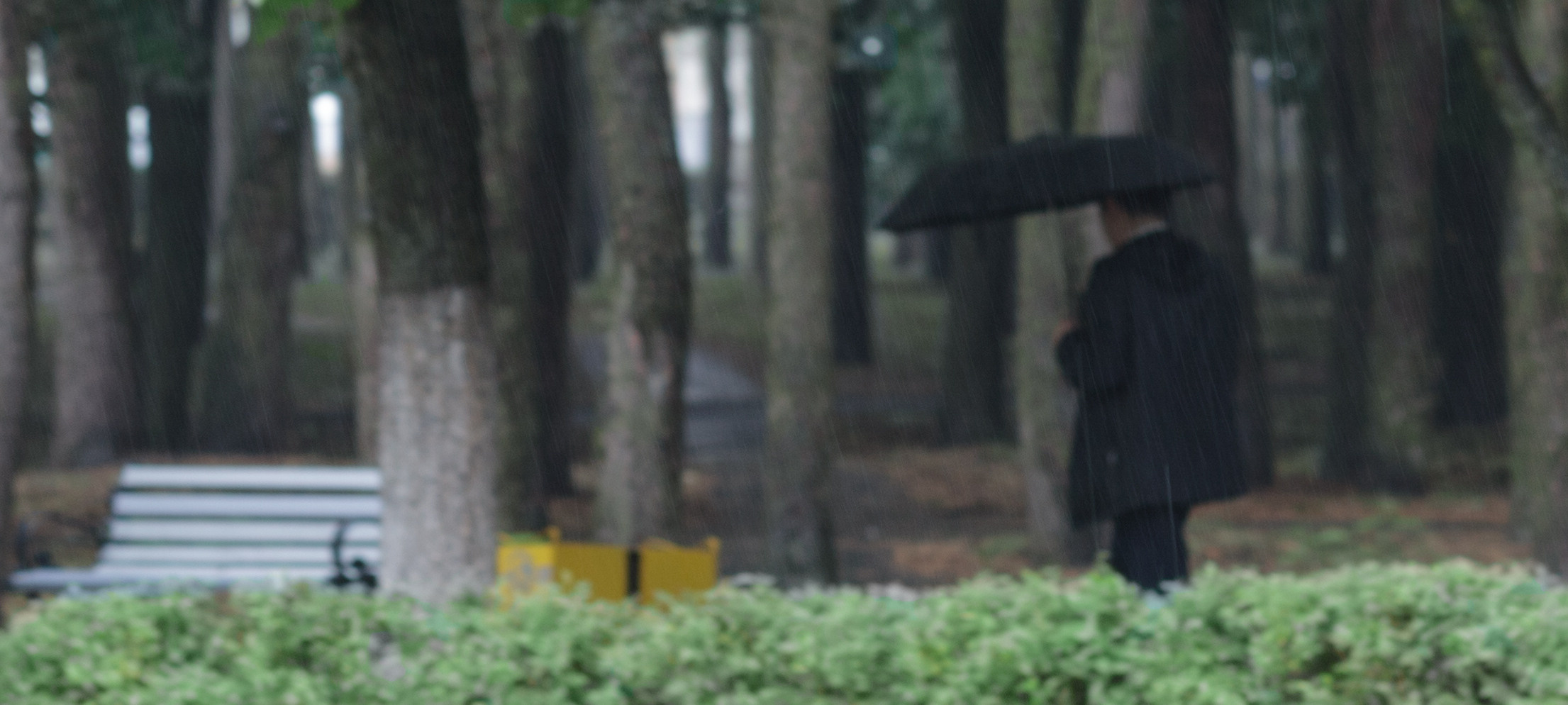 картина, фотокартина, картина в Гомеле, painting, canvas