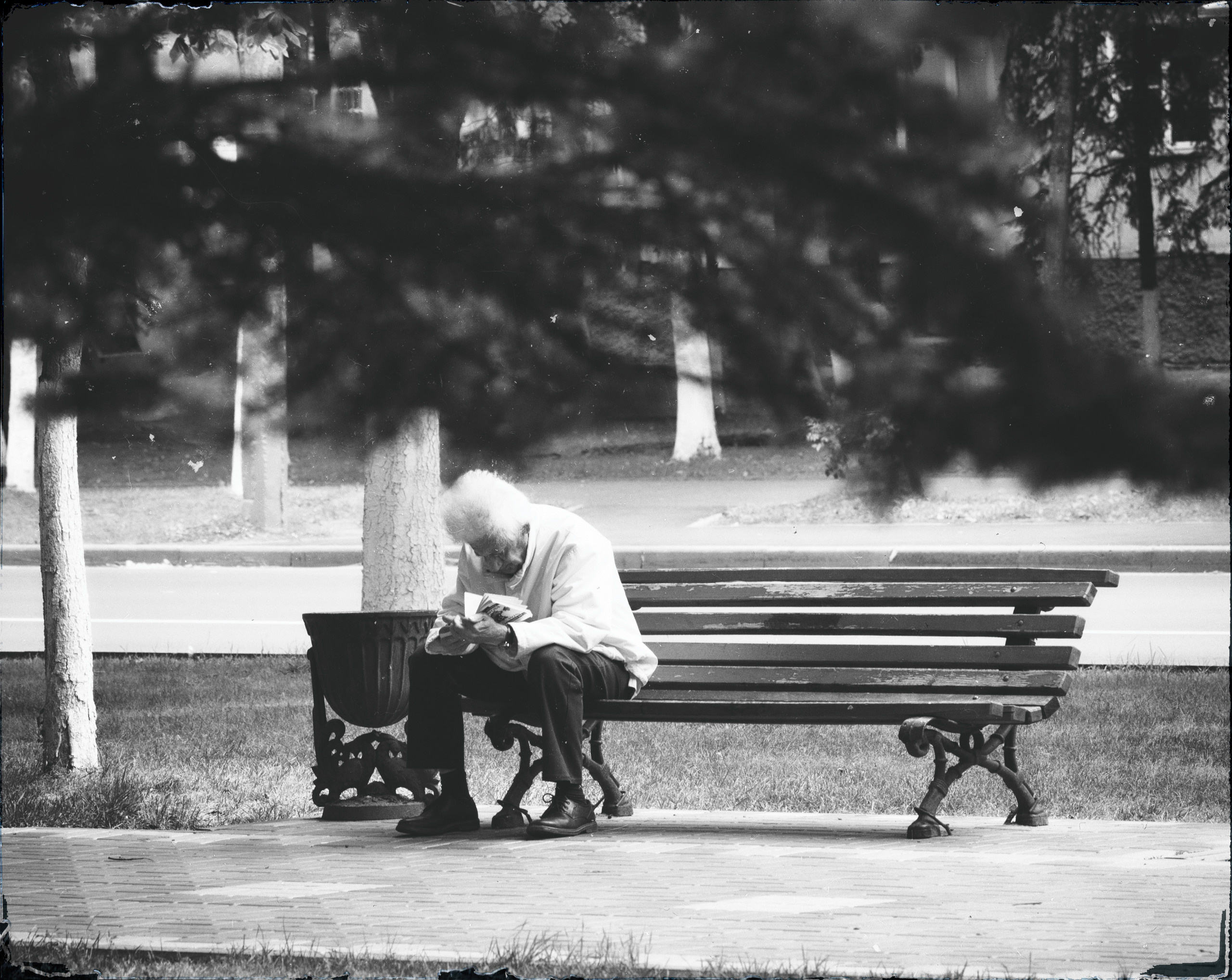 картина, фотокартина, картина в Гомеле, painting, canvas