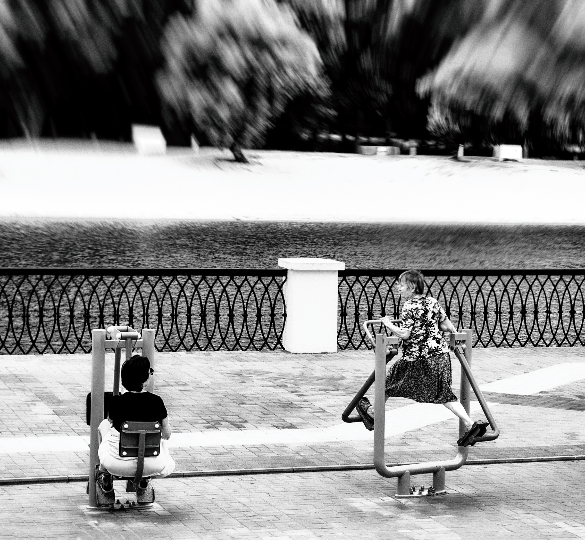 картина, фотокартина, картина в Гомеле, painting, canvas