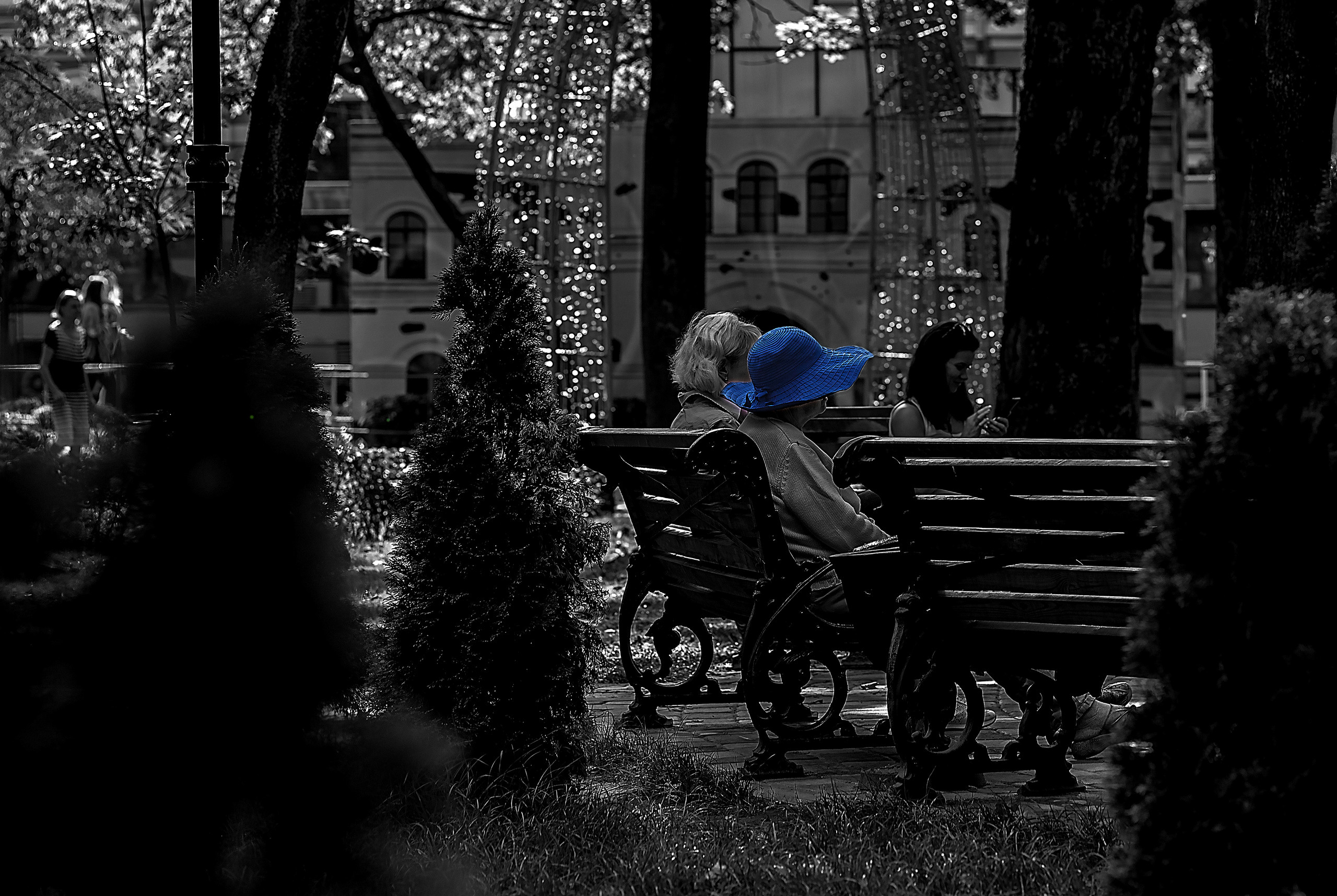 картина, фотокартина, картина в Гомеле, painting, canvas